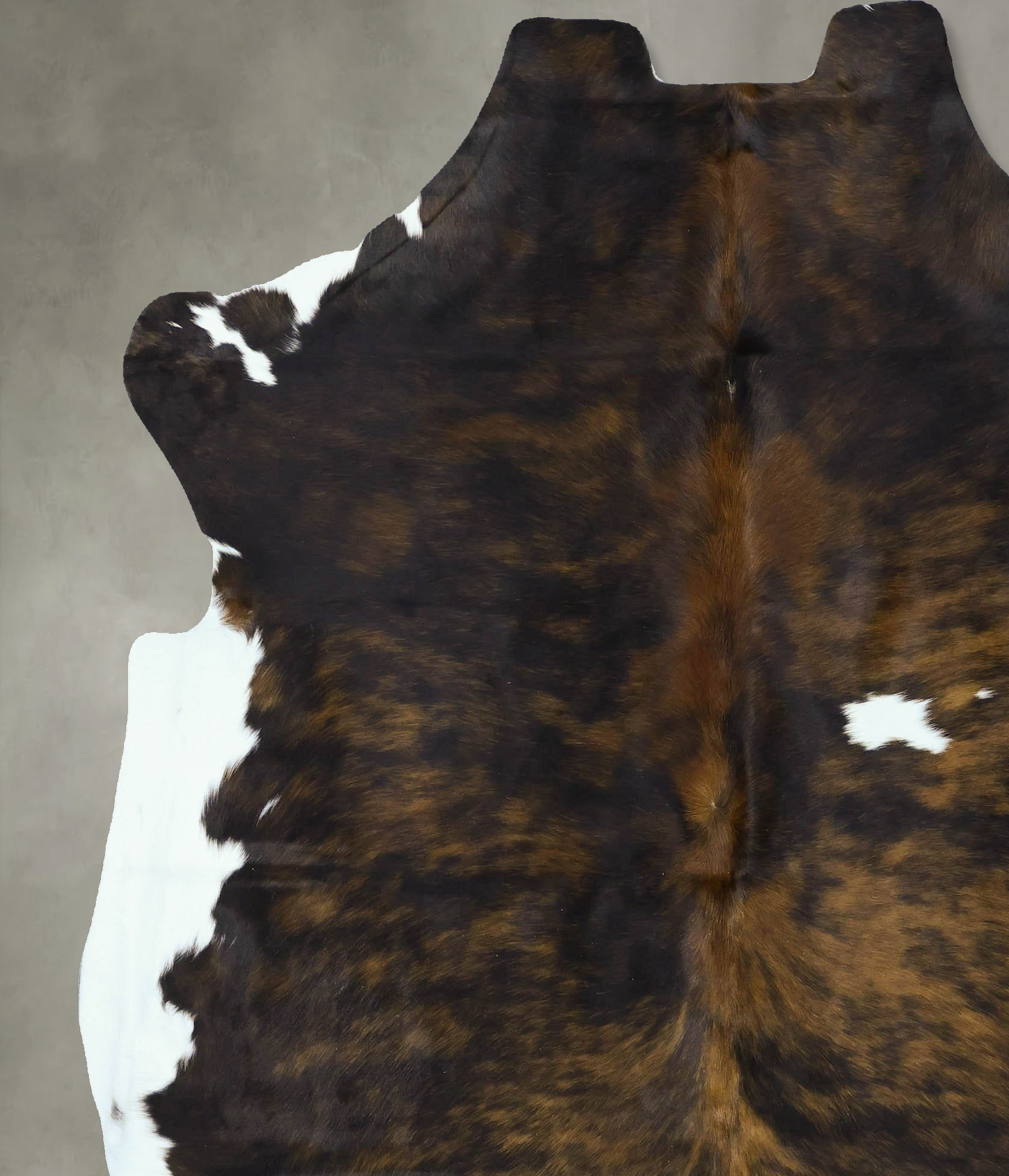 Tricolor Cowhide Rug #B22895