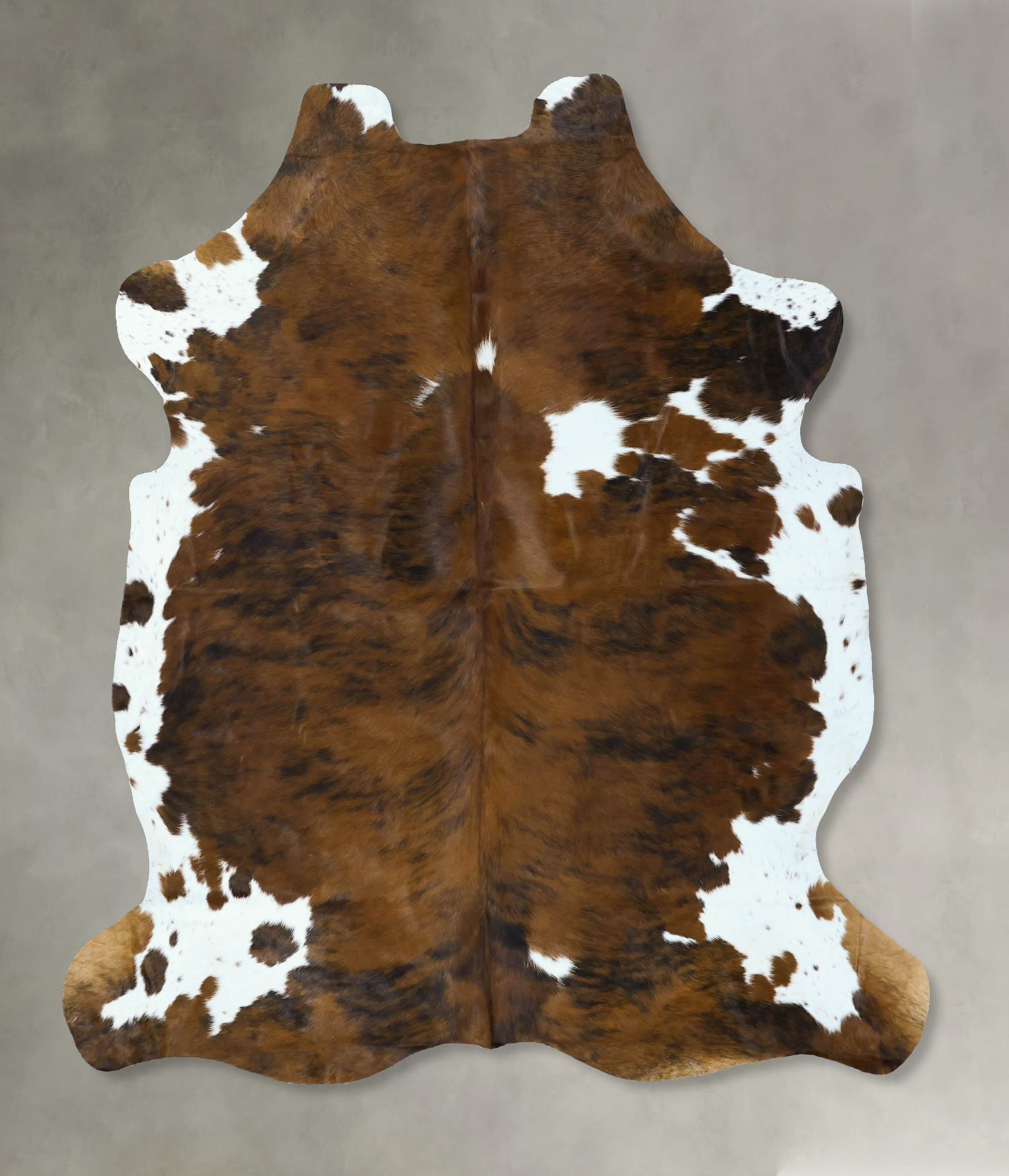 Tricolor Cowhide Rug #B22897