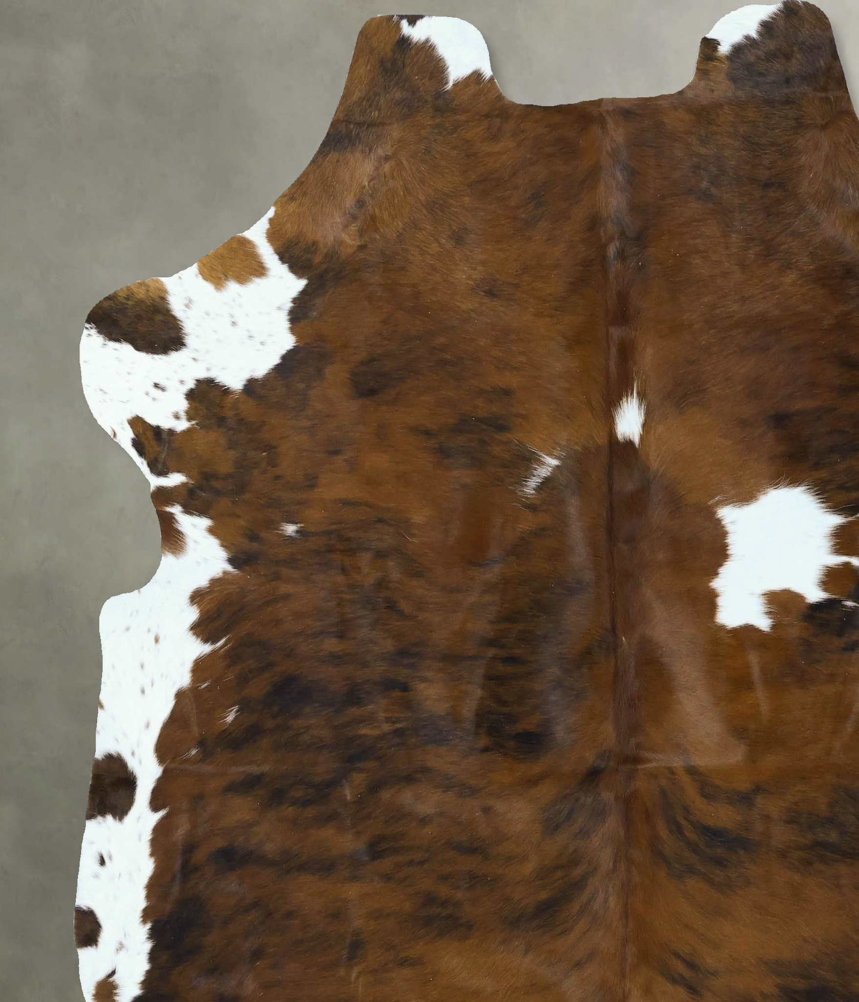 Tricolor Cowhide Rug #B22897