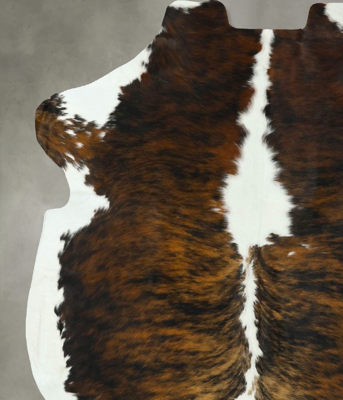 Tricolor X-Large European Cowhide Rug 7'3"H x 6'1"W #B22902 by Hudson Hides