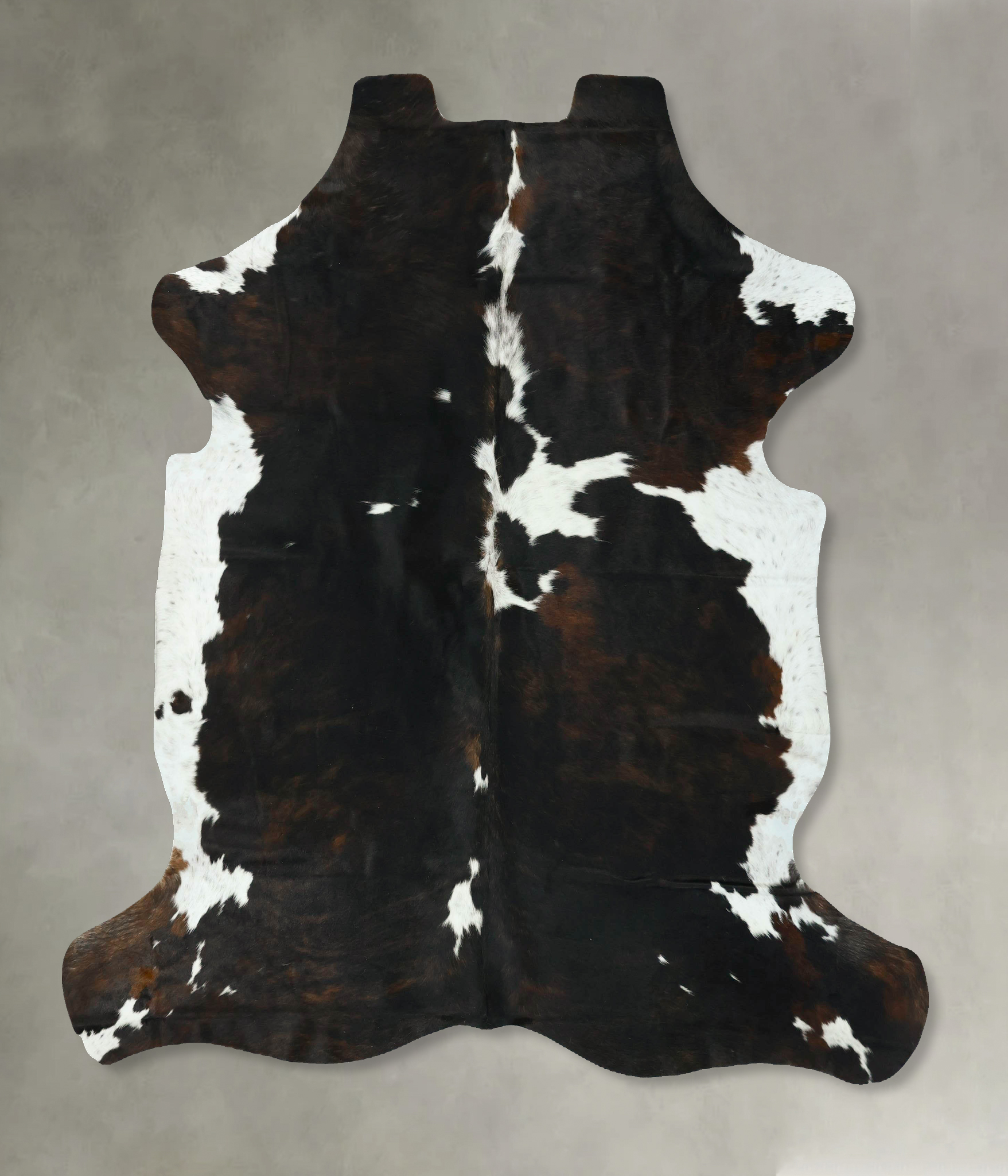 Tricolor Cowhide Rug #B22903