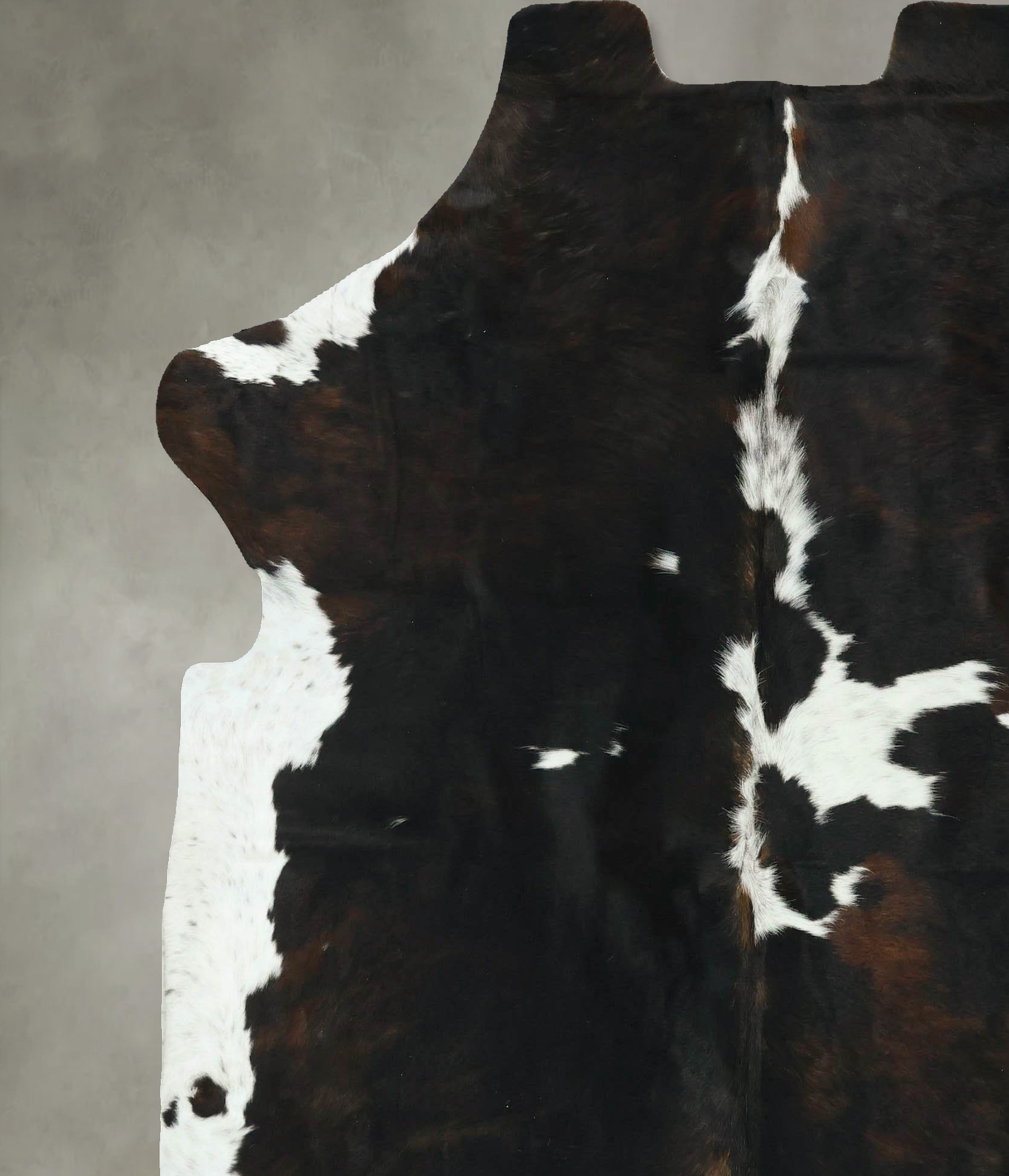 Tricolor Cowhide Rug #B22903