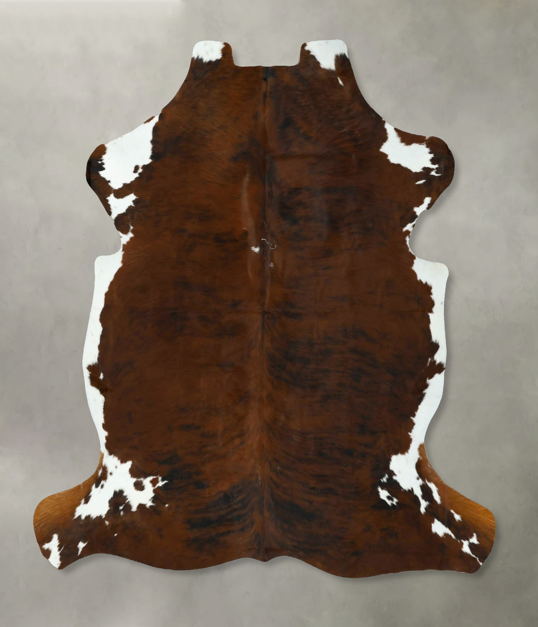 Tricolor Cowhide Rug #B22904