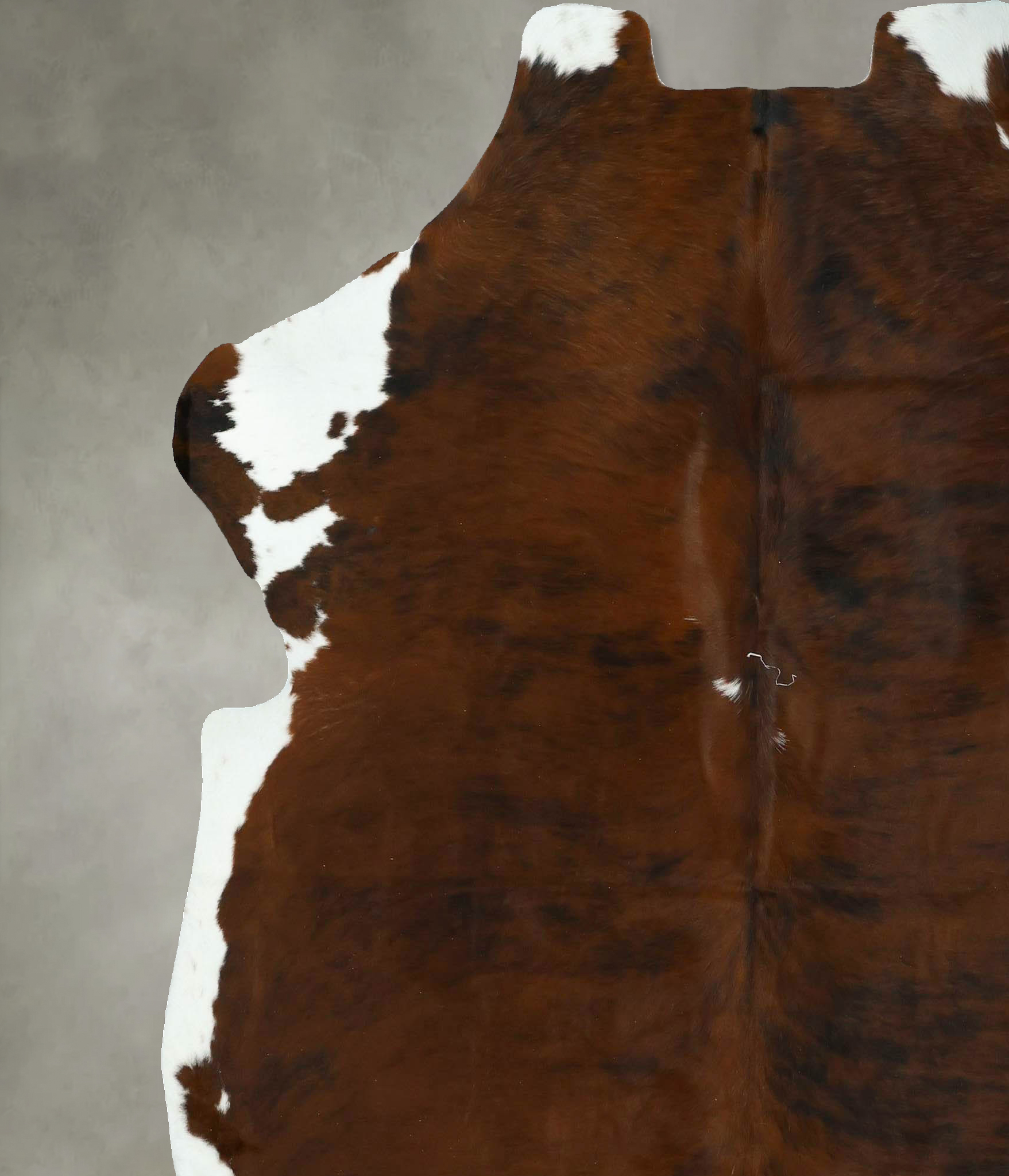 Tricolor Cowhide Rug #B22904