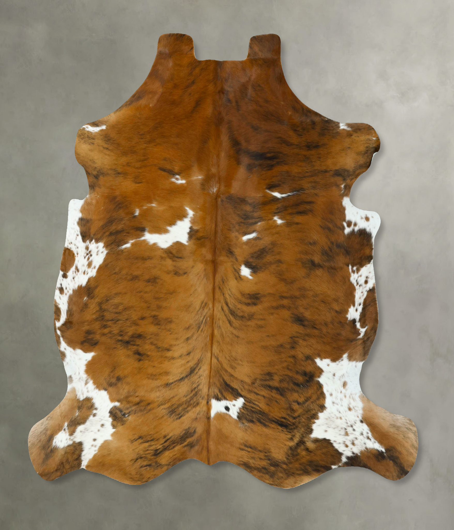 Tricolor Cowhide Rug #B22906
