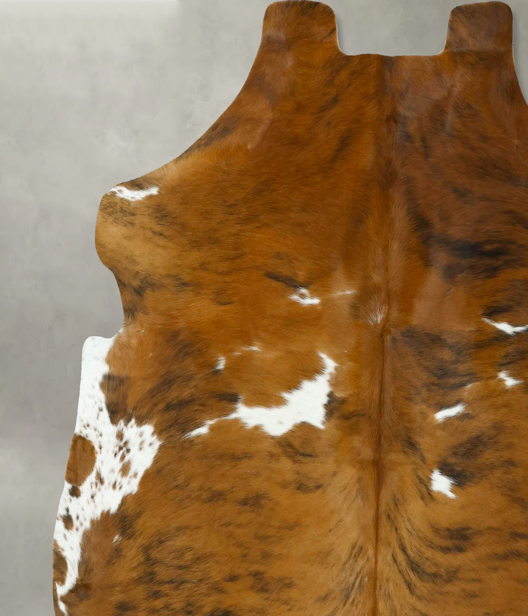 Tricolor Cowhide Rug #B22906