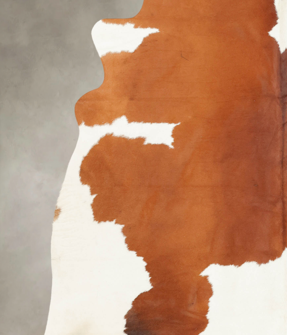 Brown and White X-Large Brazilian Cowhide Rug 6'5"H x 7'4"W #B2291 by Hudson Hides