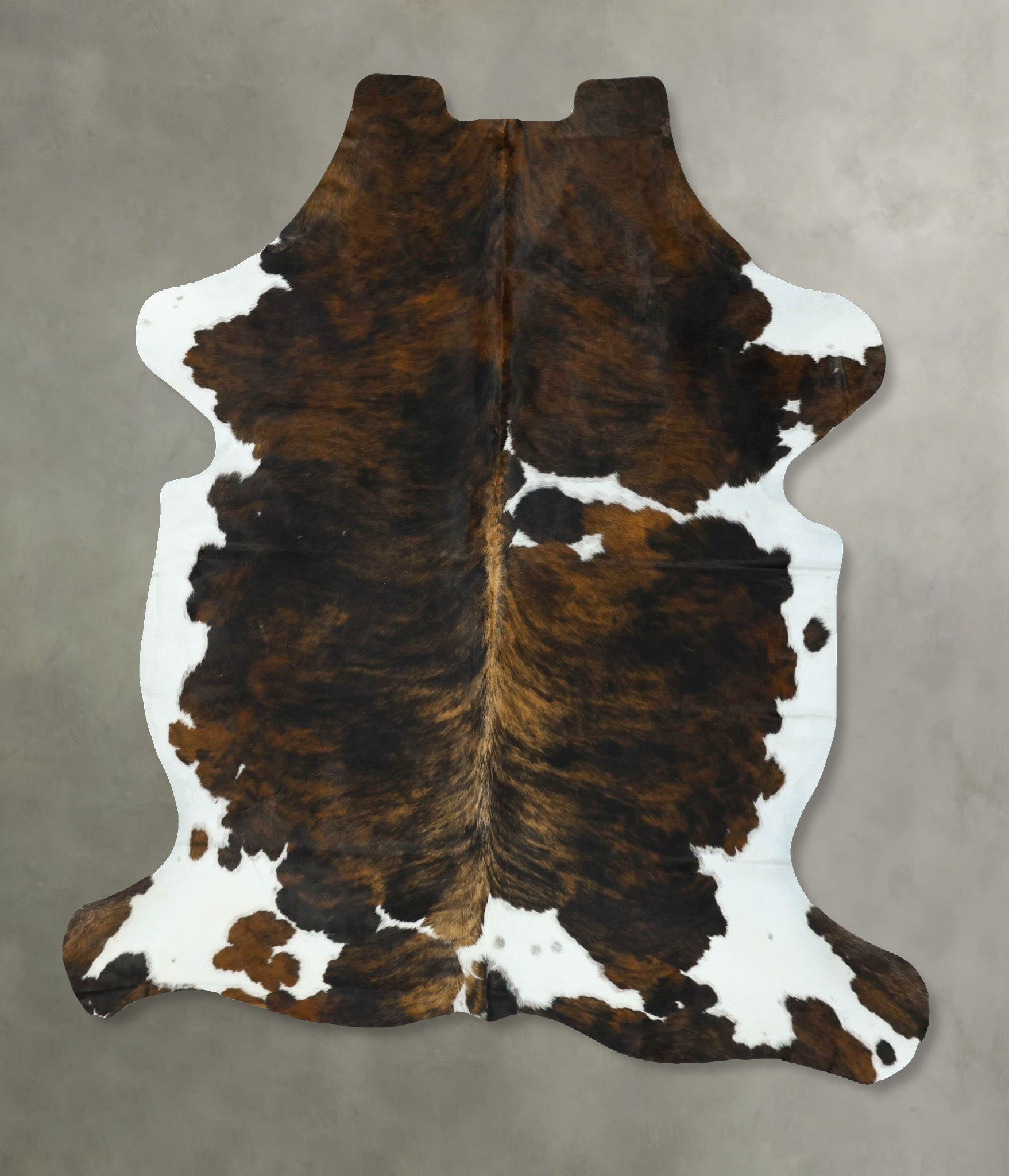 Tricolor Cowhide Rug #B22911