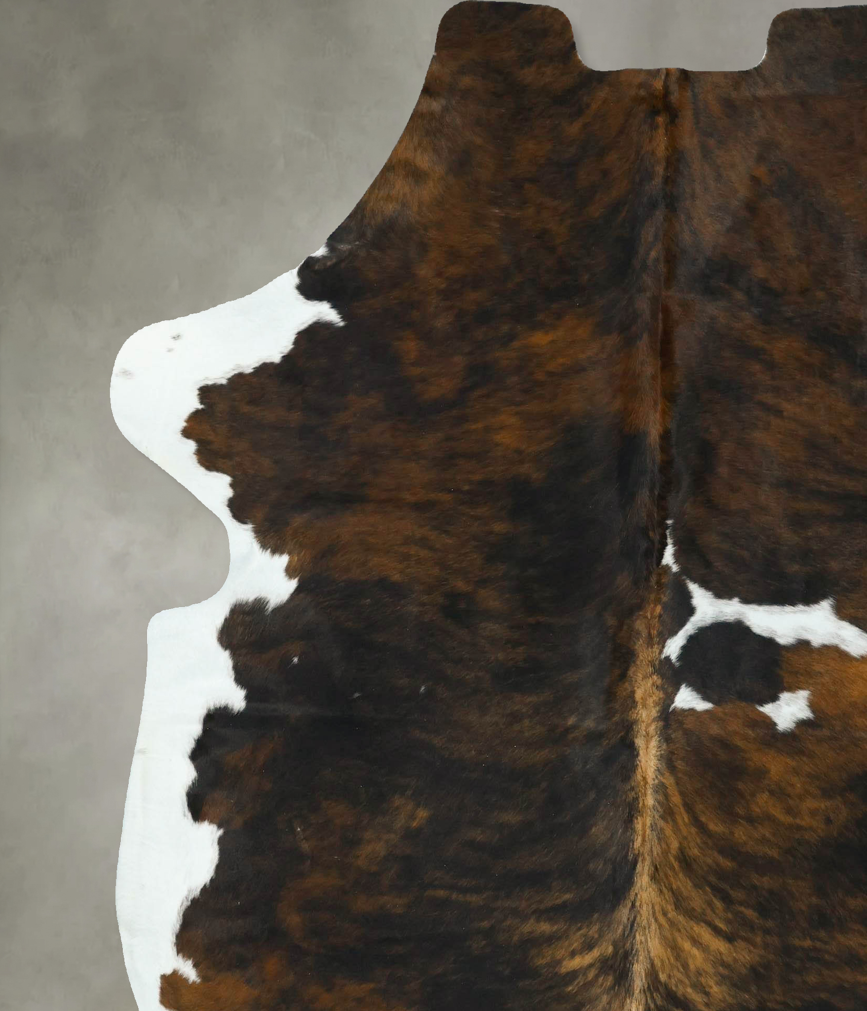 Tricolor Cowhide Rug #B22911