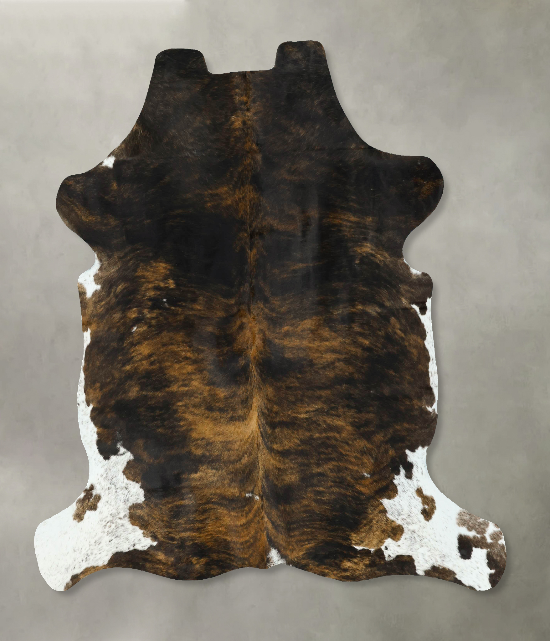 Tricolor Cowhide Rug #B22912