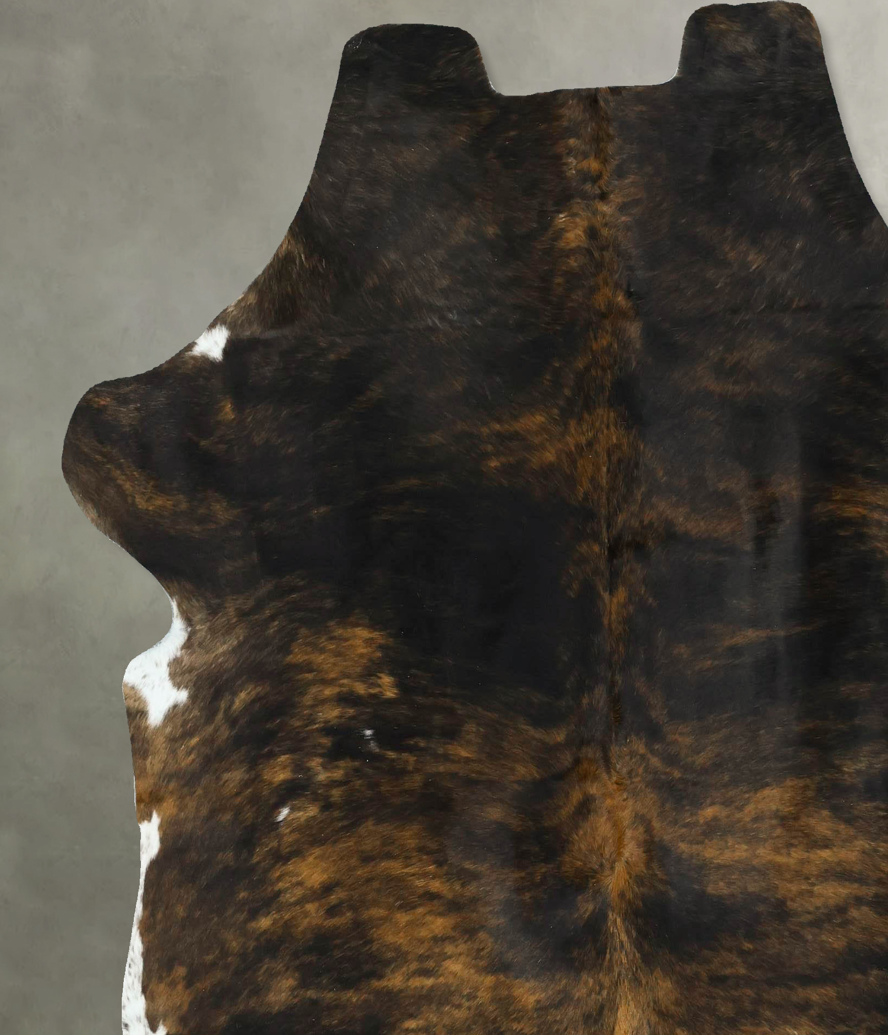 Tricolor Cowhide Rug #B22912