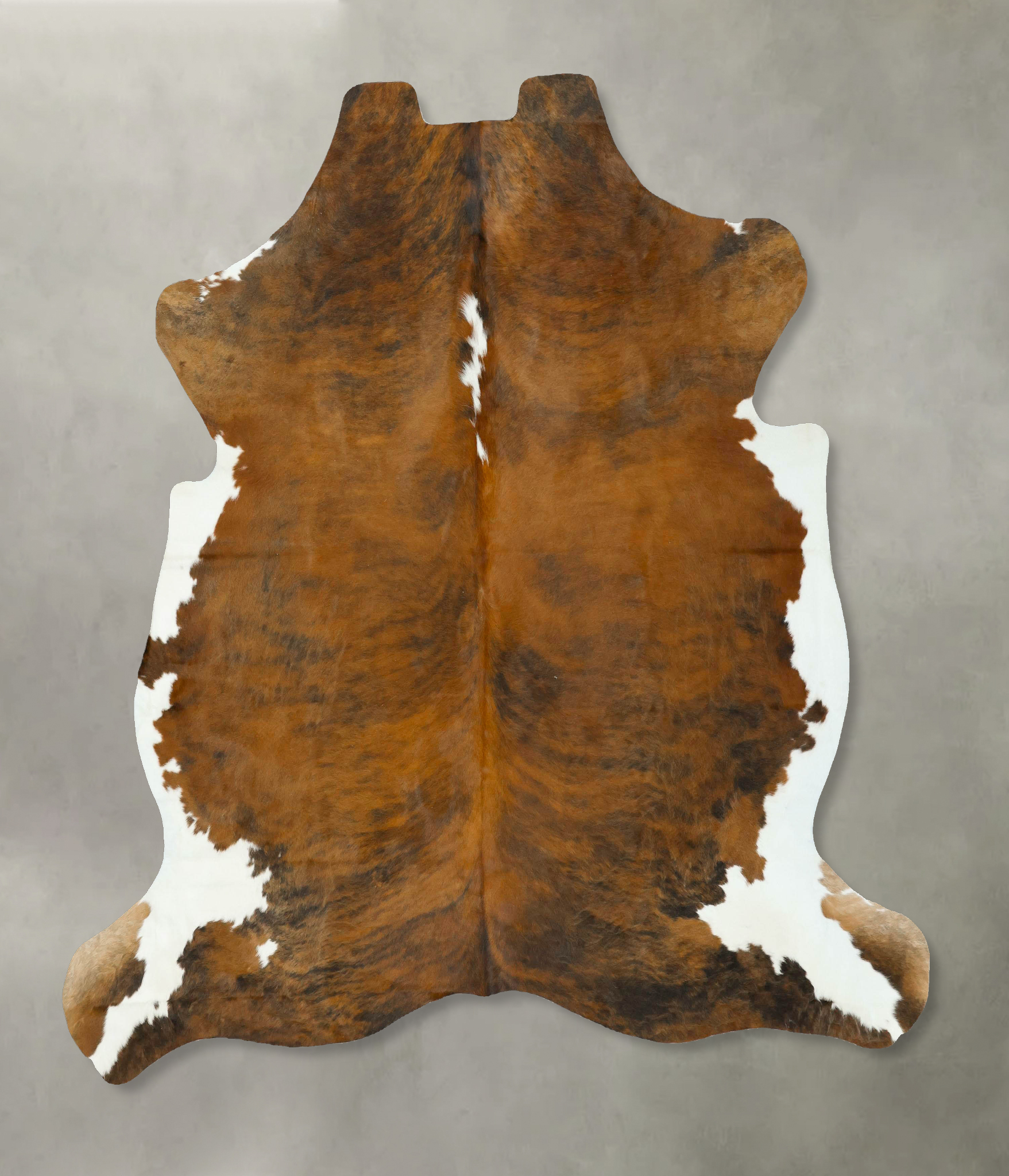 Tricolor Cowhide Rug #B22913