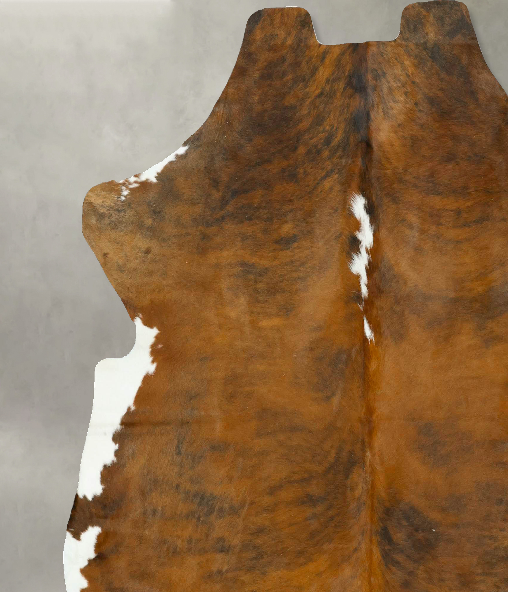 Tricolor Cowhide Rug #B22913