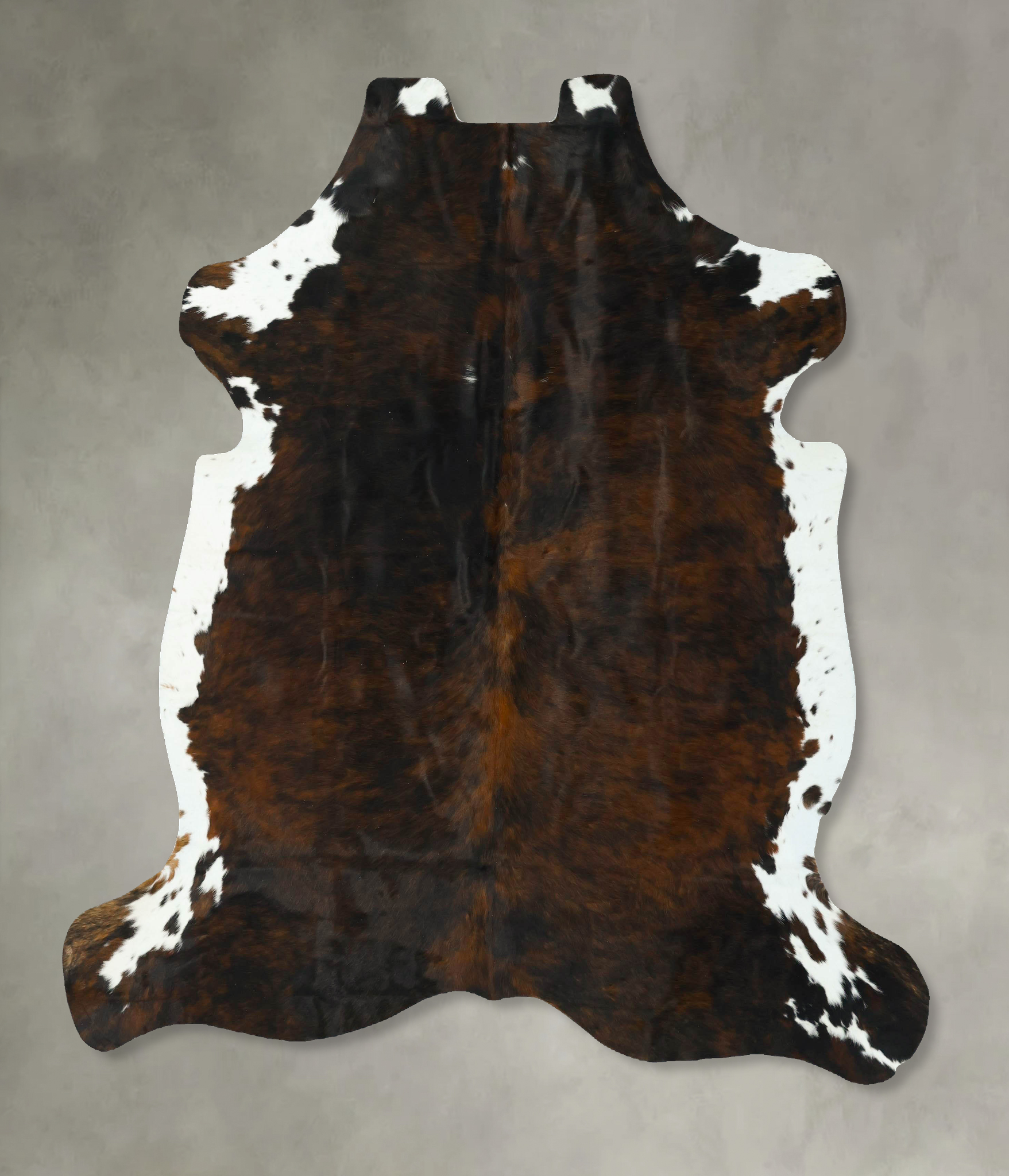 Tricolor Cowhide Rug #B22914