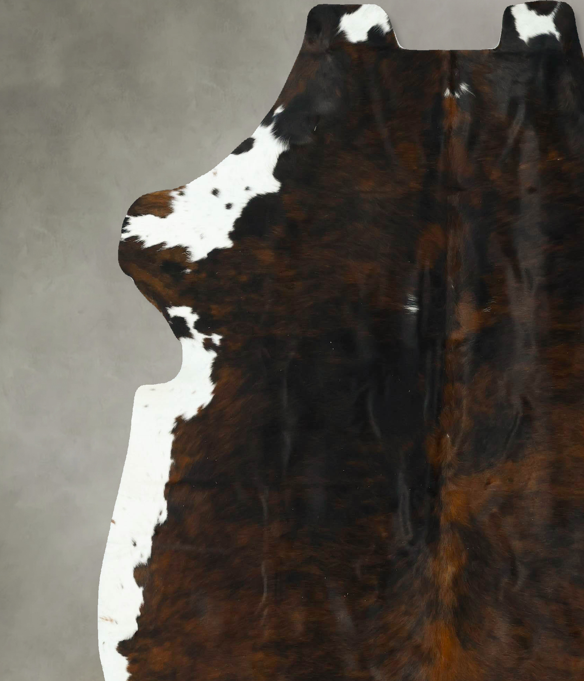 Tricolor X-Large European Cowhide Rug 7'3"H x 6'7"W #B22914 by Hudson Hides