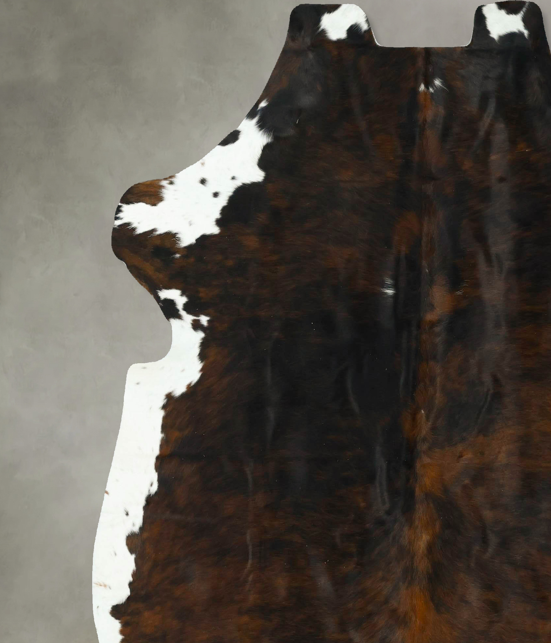 Tricolor Cowhide Rug #B22914