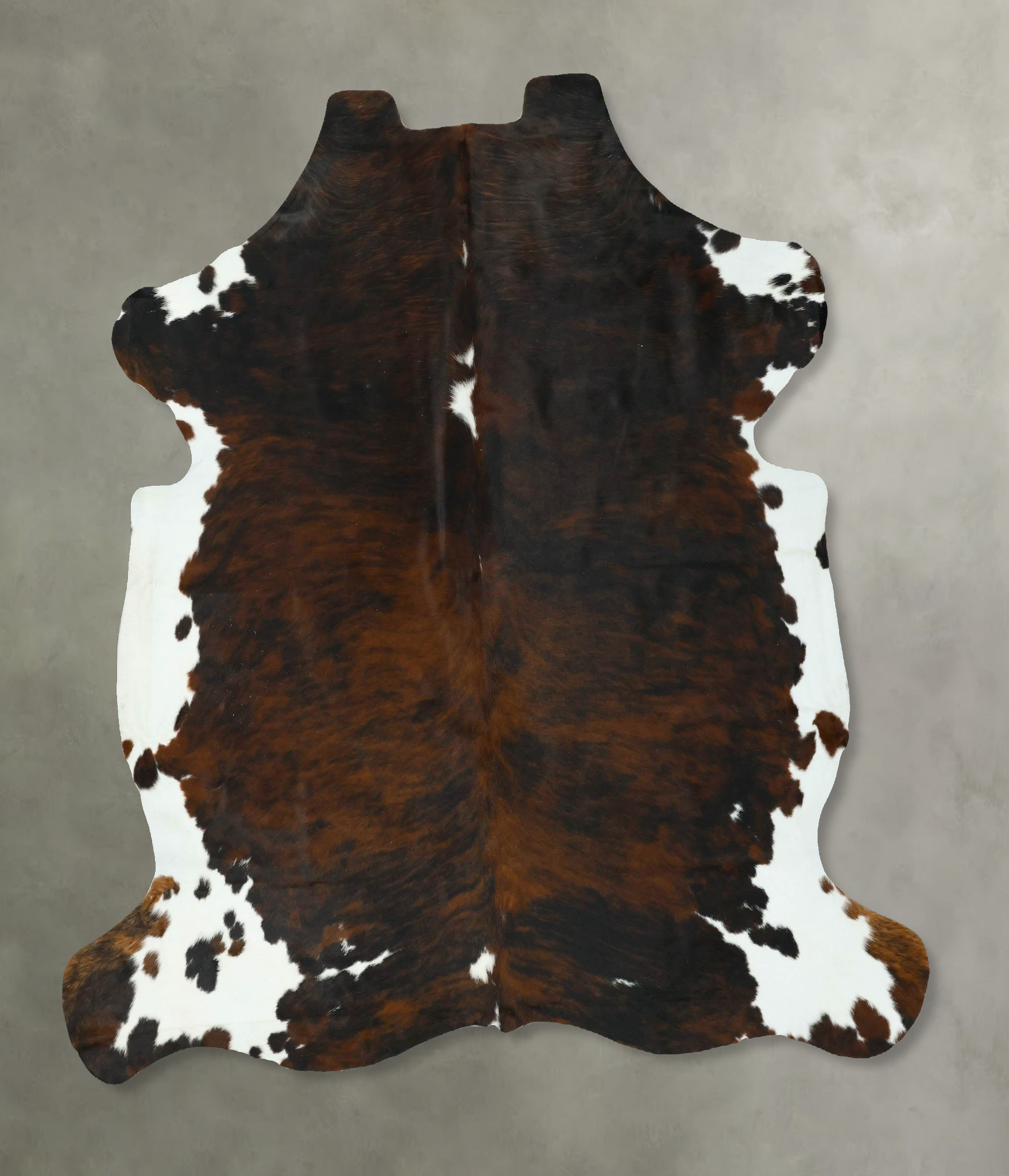 Tricolor Cowhide Rug #B22915
