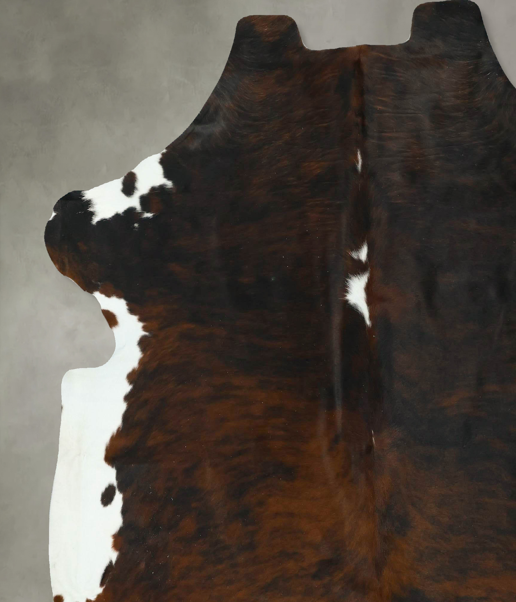 Tricolor Cowhide Rug #B22915