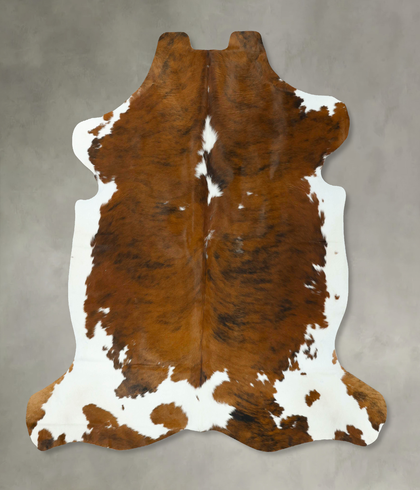 Tricolor Cowhide Rug #B22916