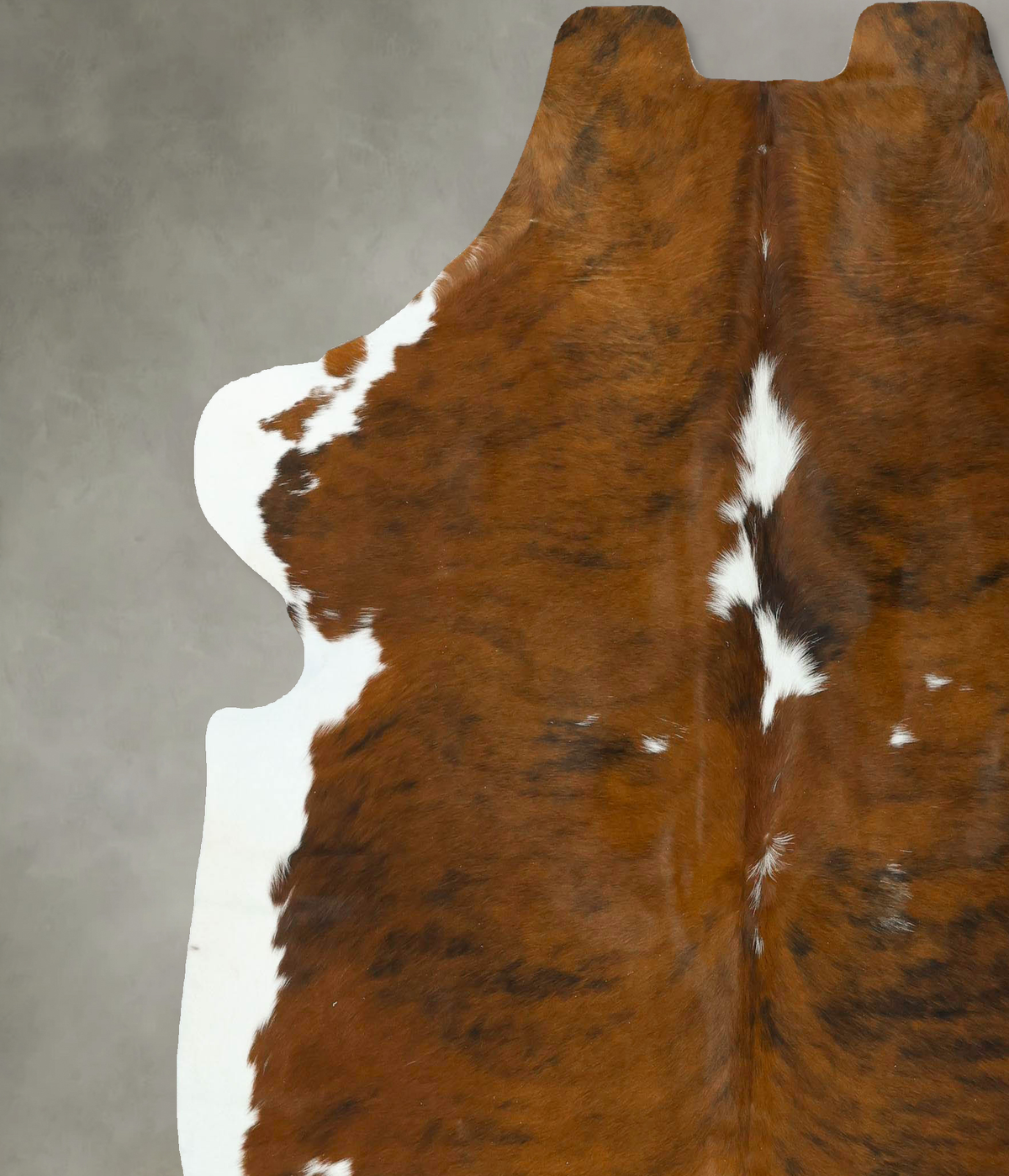 Tricolor X-Large European Cowhide Rug 7'2"H x 6'11"W #B22916 by Hudson Hides