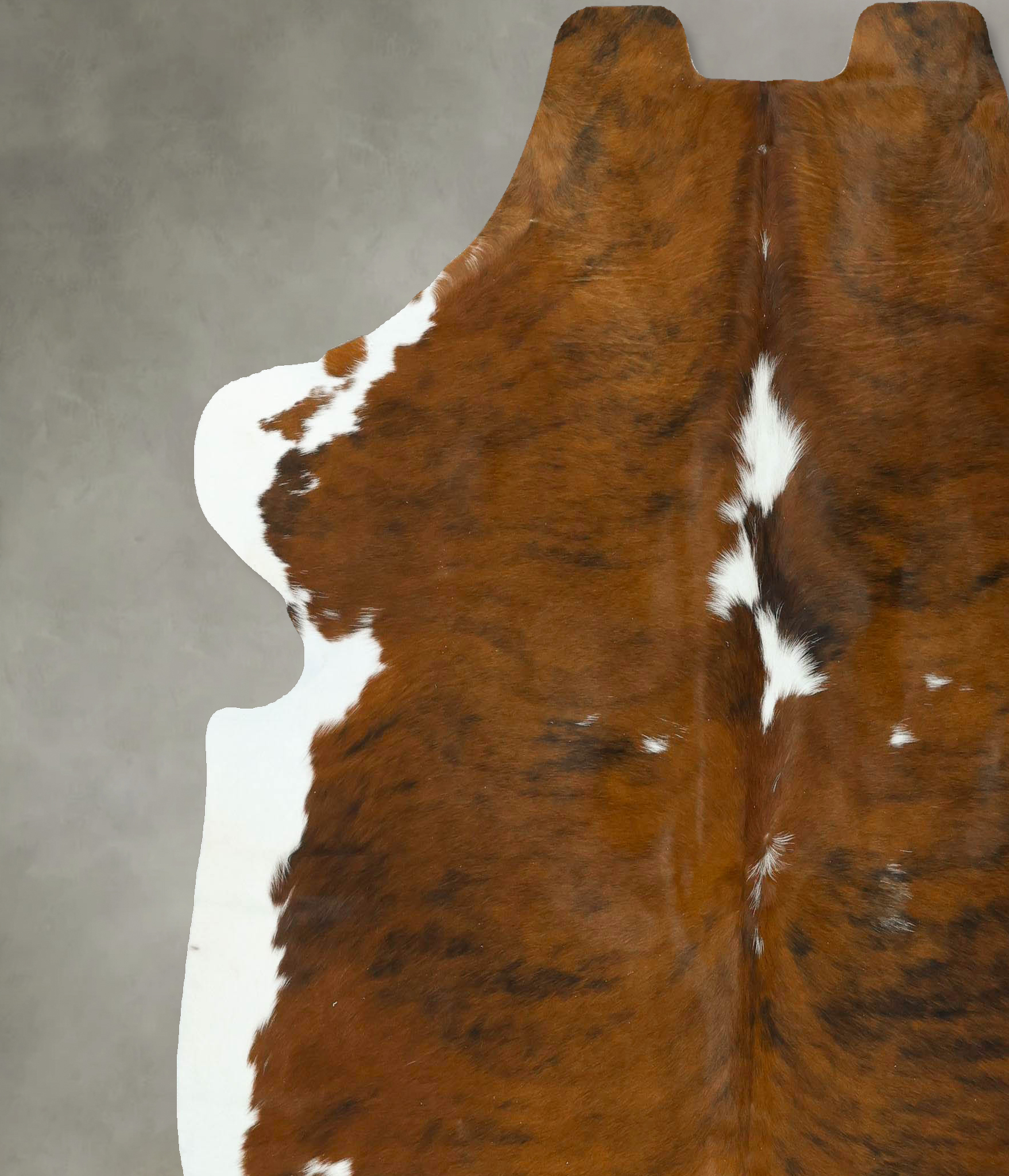 Tricolor Cowhide Rug #B22916