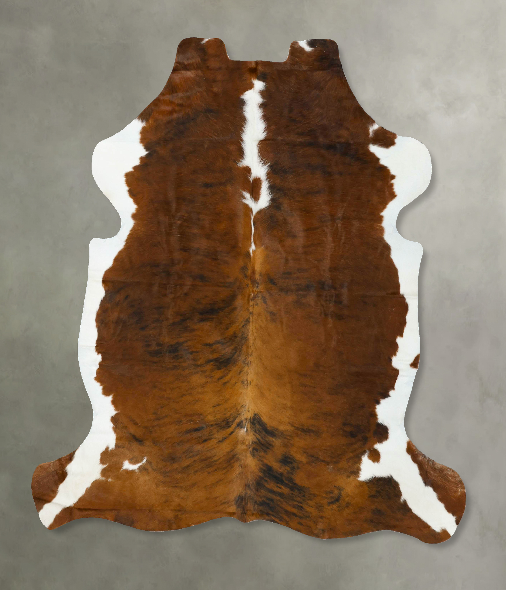 Tricolor Cowhide Rug #B22919