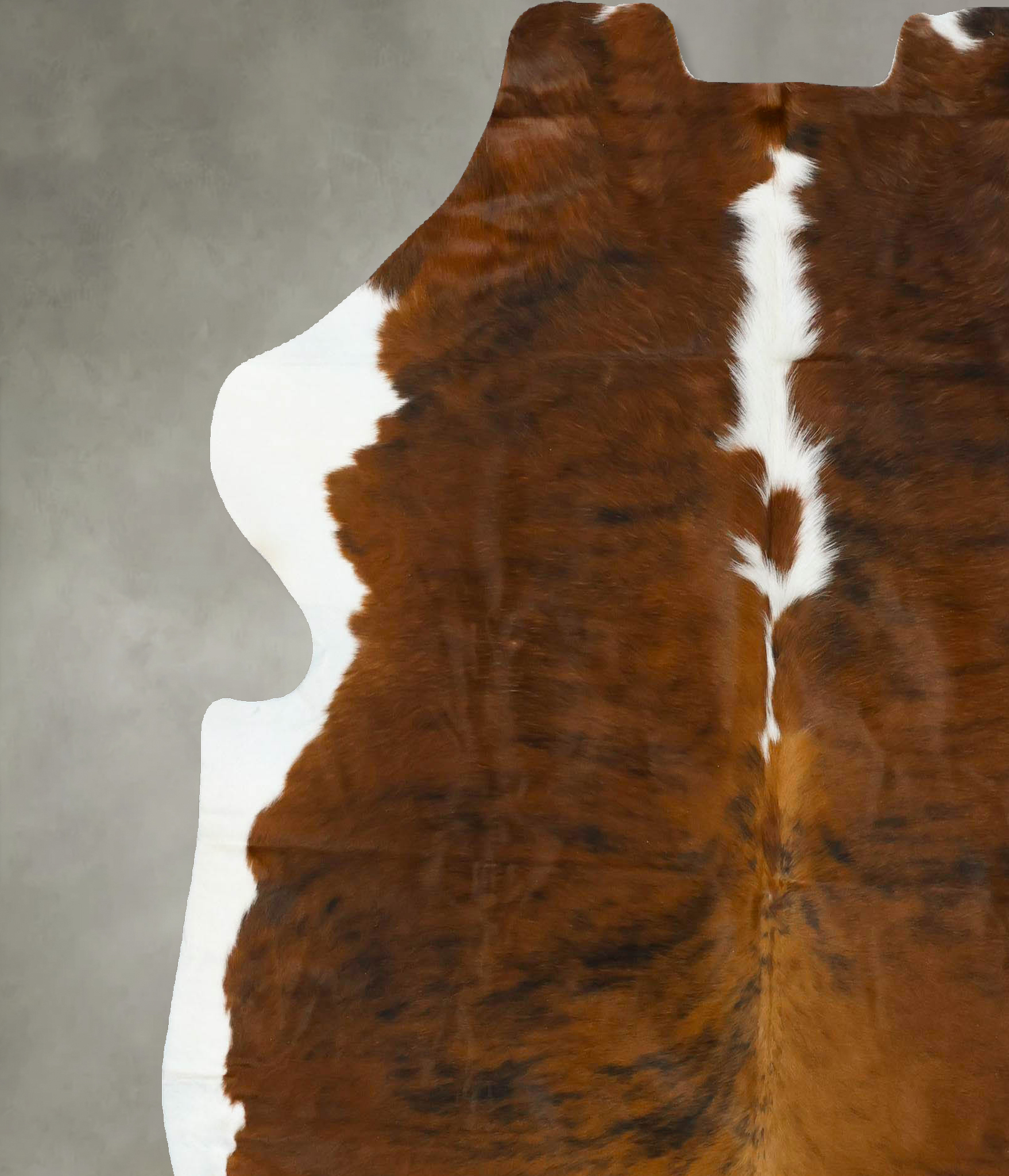 Tricolor Cowhide Rug #B22919