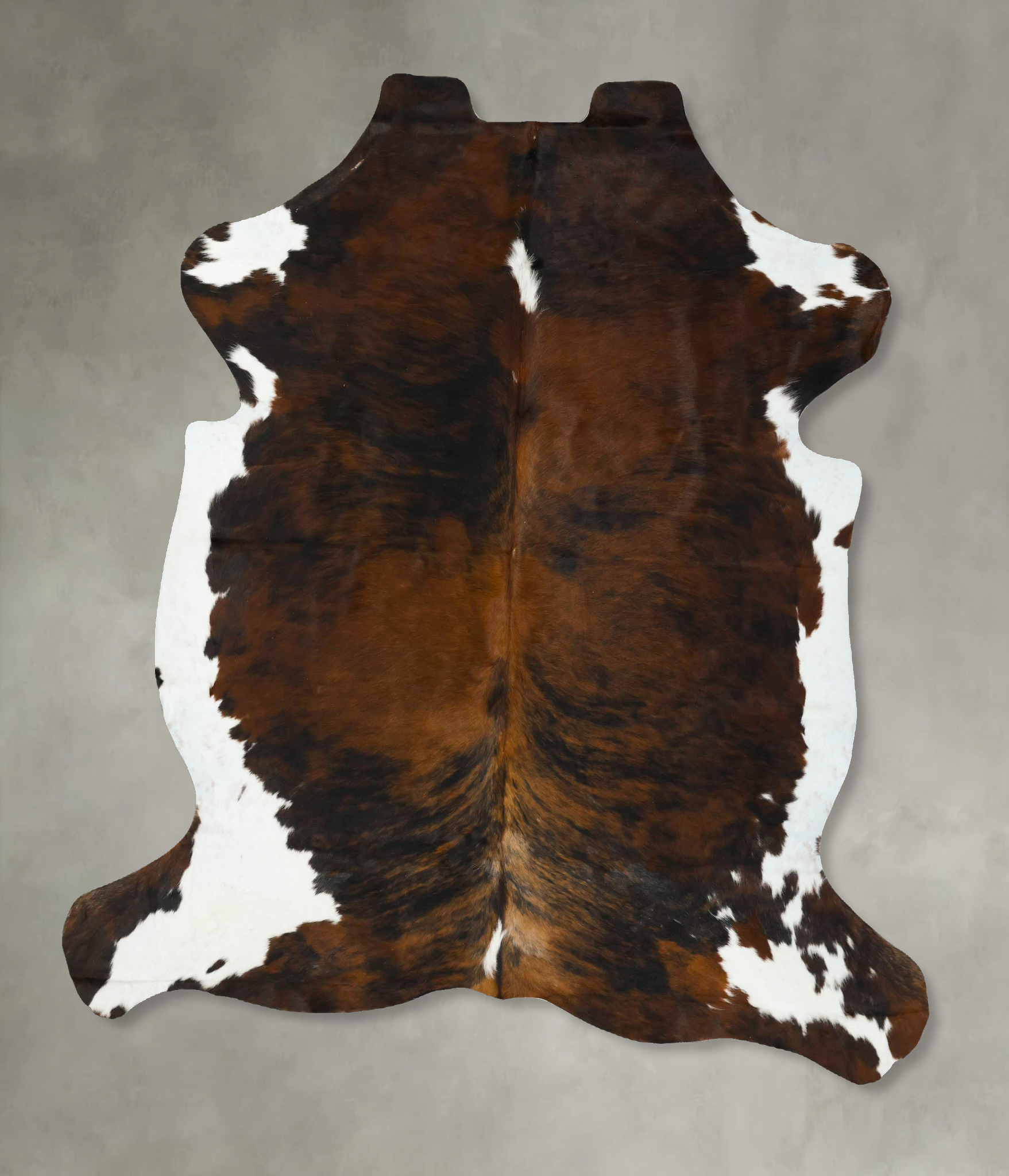 Tricolor Cowhide Rug #B22920