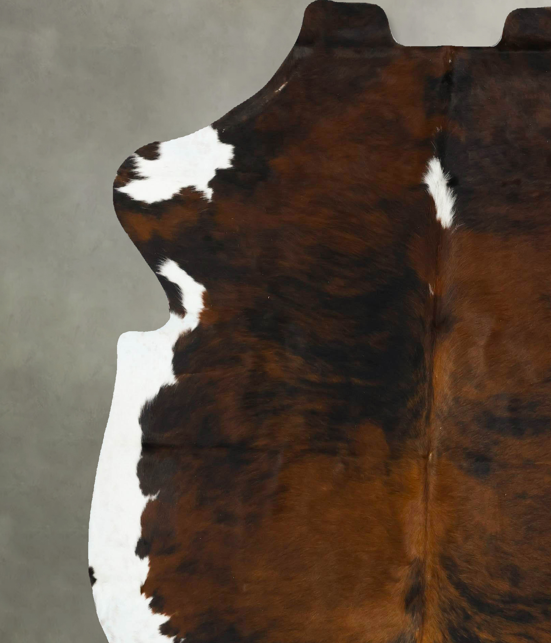 Tricolor Cowhide Rug #B22920