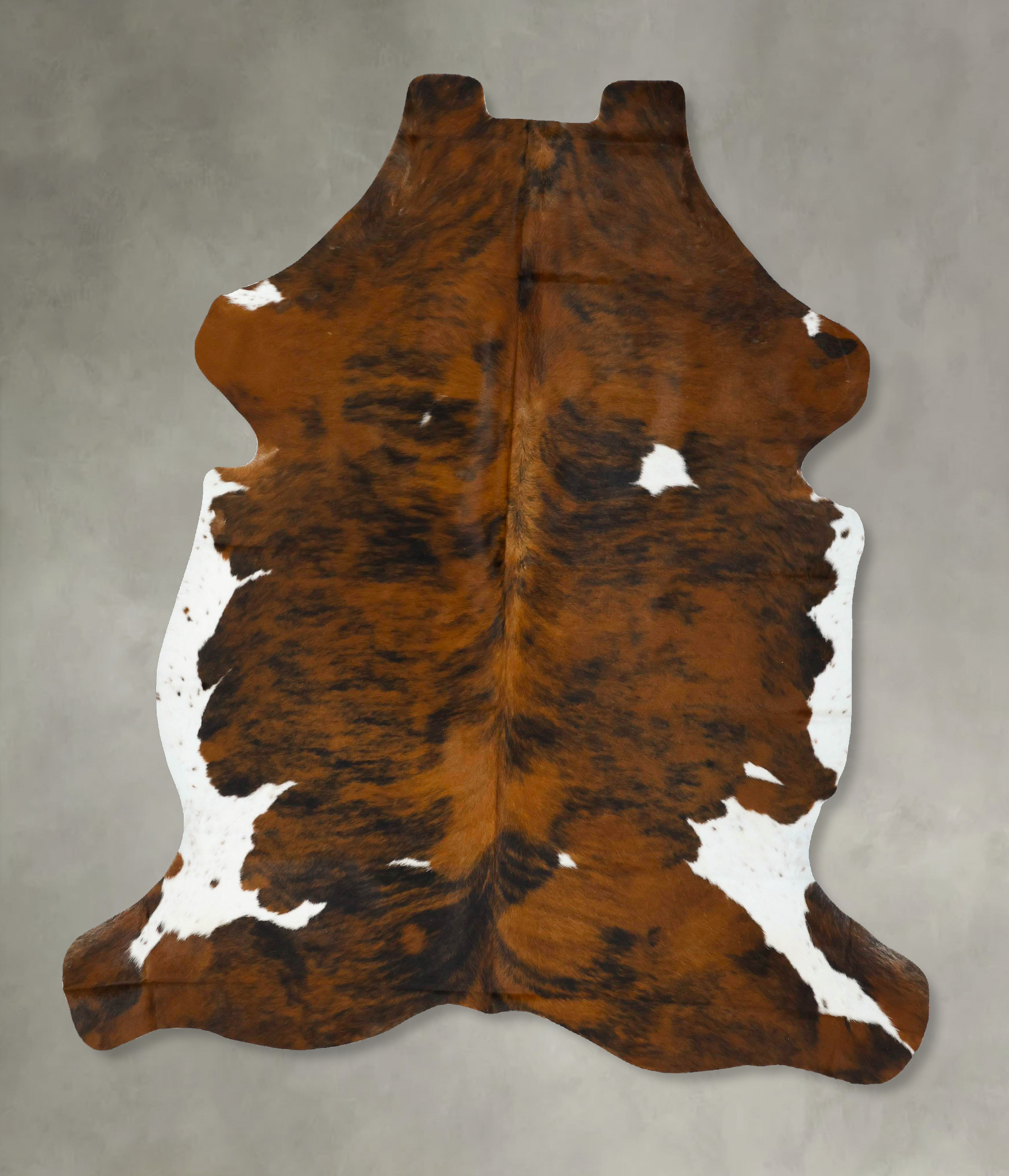 Tricolor Cowhide Rug #B22921