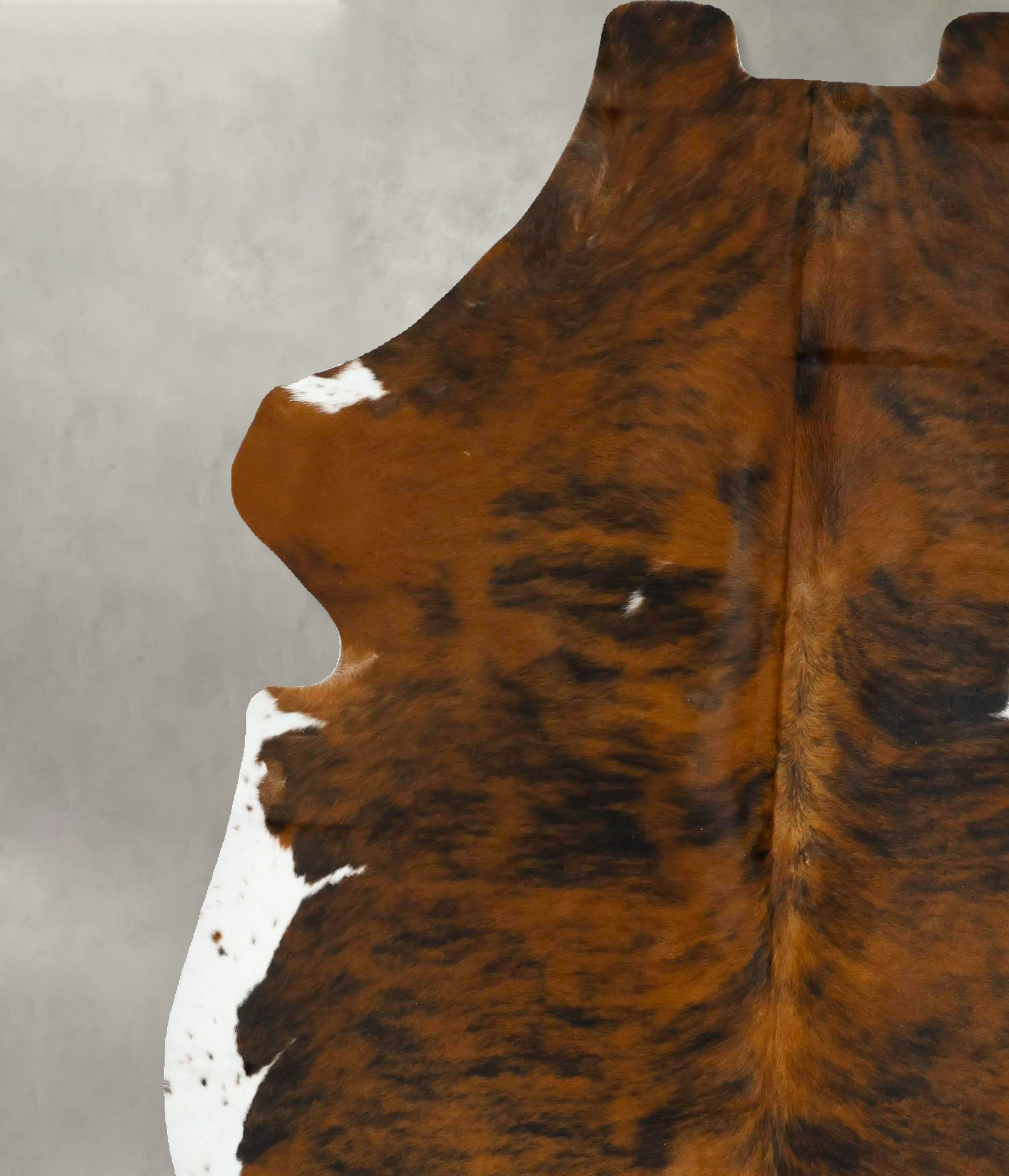 Tricolor Cowhide Rug #B22921