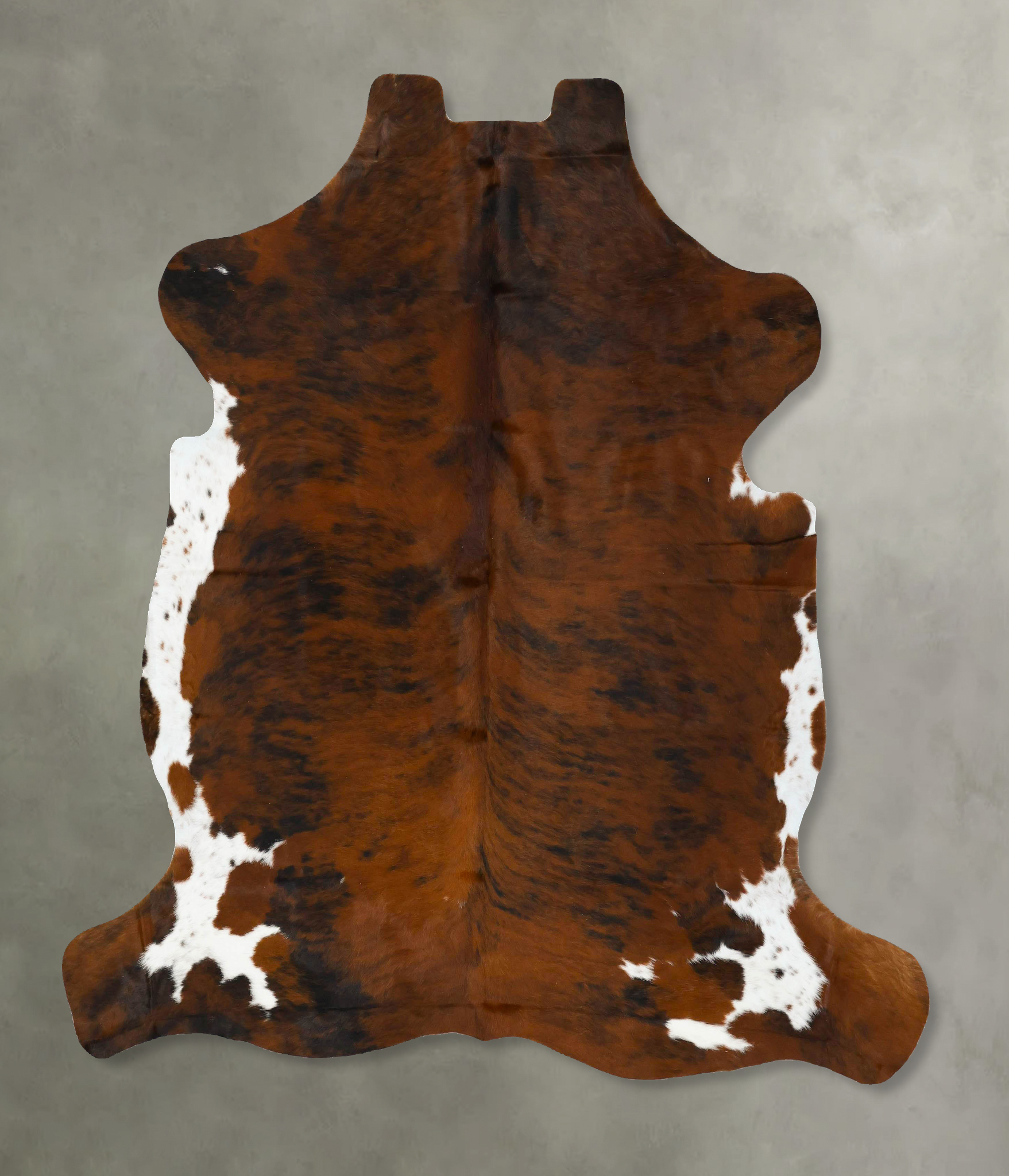 Tricolor Cowhide Rug #B22923