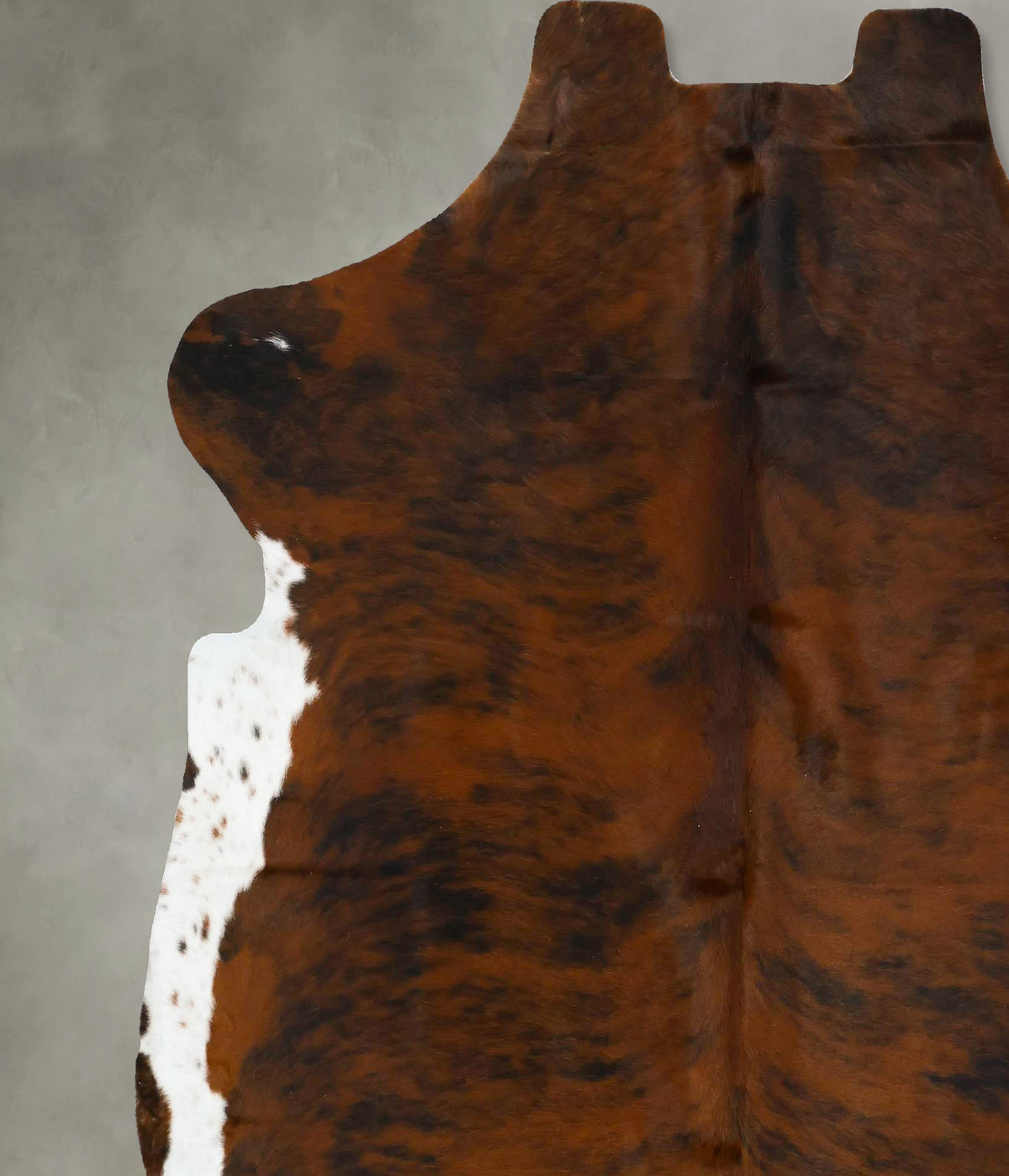 Tricolor X-Large European Cowhide Rug 7'4"H x 6'7"W #B22923 by Hudson Hides
