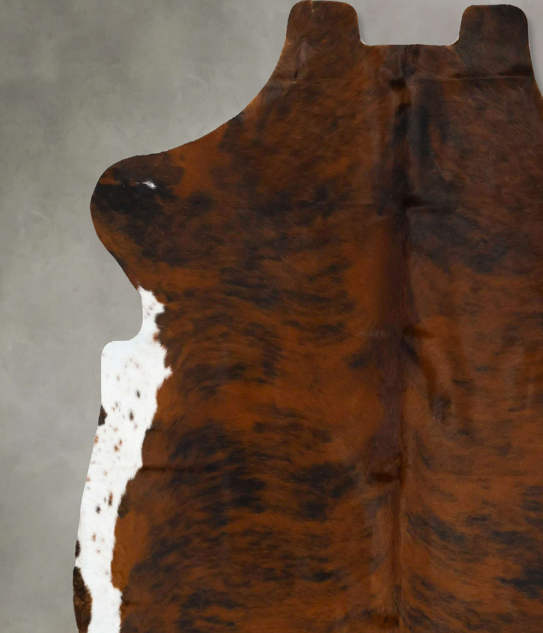 Tricolor Cowhide Rug #B22923