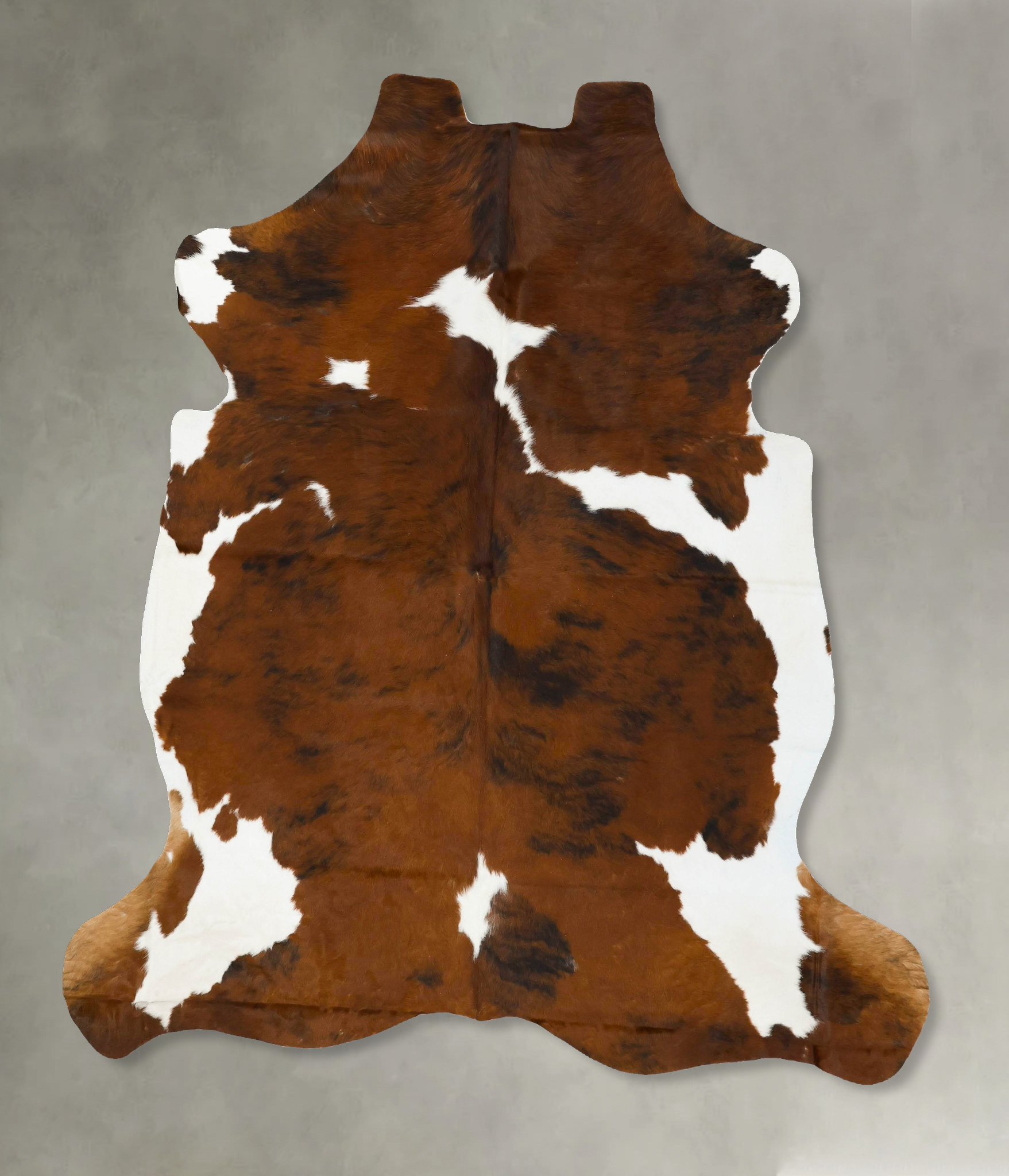 Tricolor Cowhide Rug #B22925