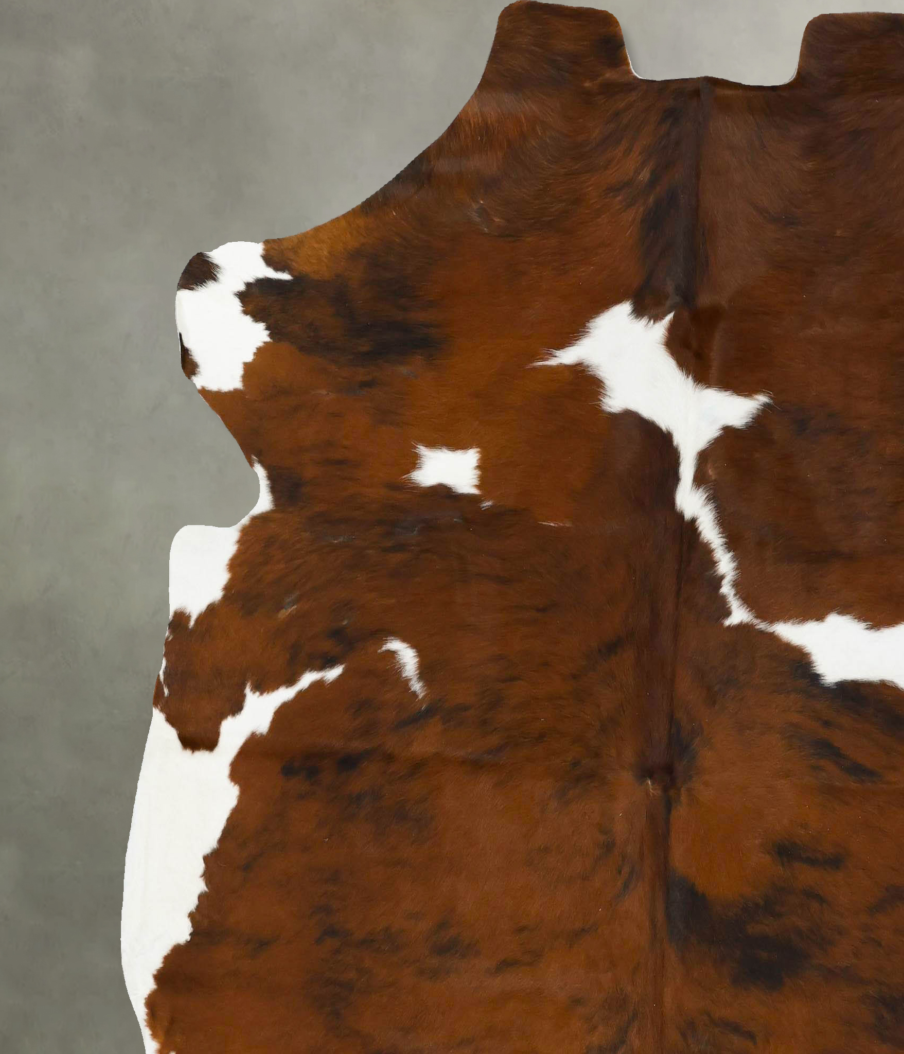 Tricolor Cowhide Rug #B22925