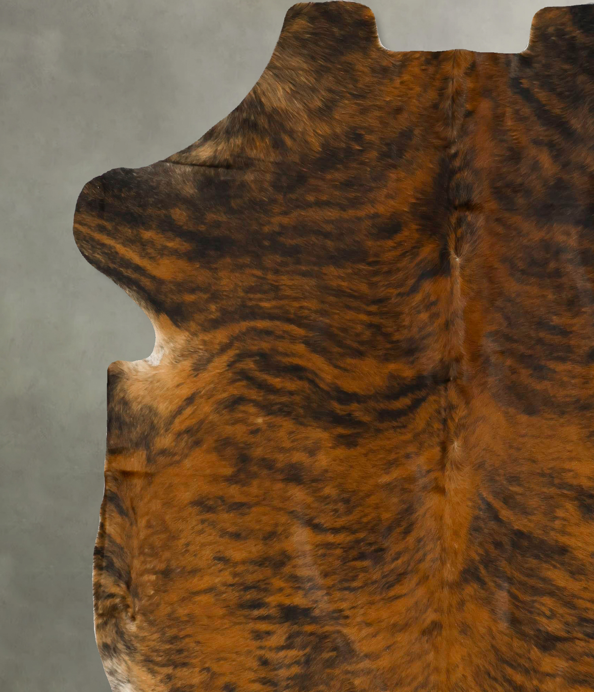 Dark Brindle XX-Large European Cowhide Rug 7'8"H x 6'8"W #B22926 by Hudson Hides