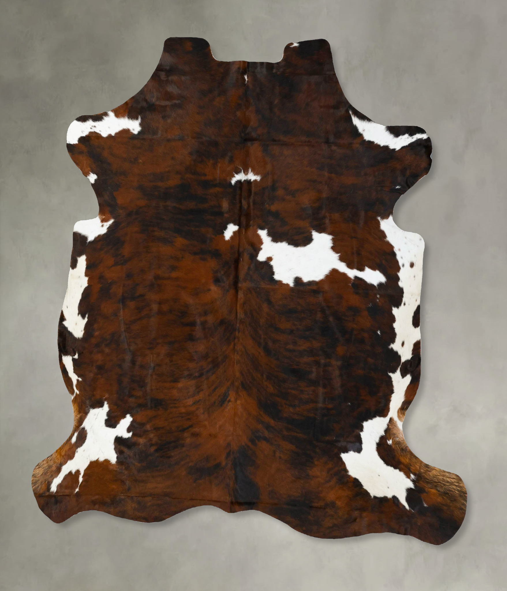 Tricolor Cowhide Rug #B22927