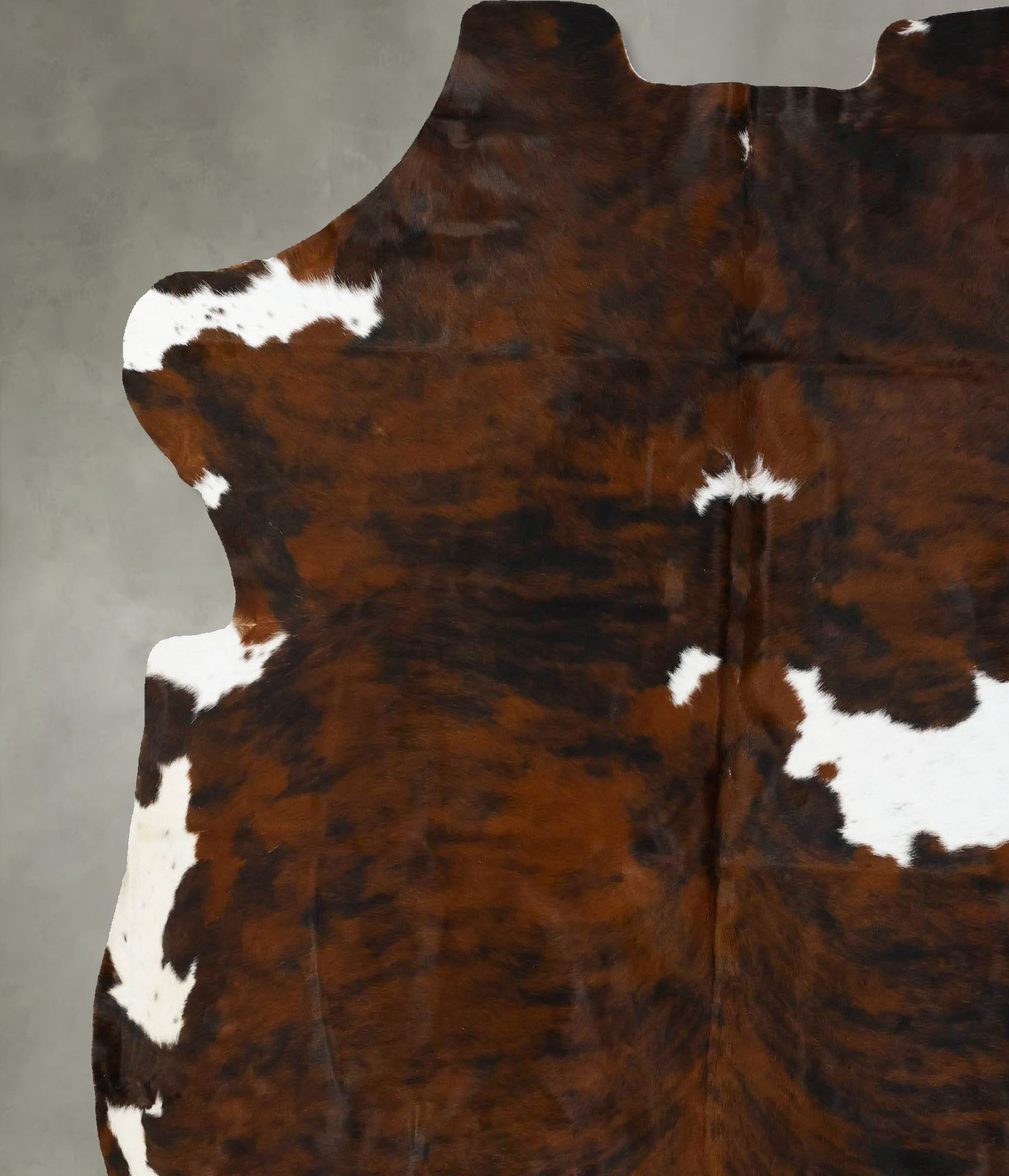 Tricolor Cowhide Rug #B22927