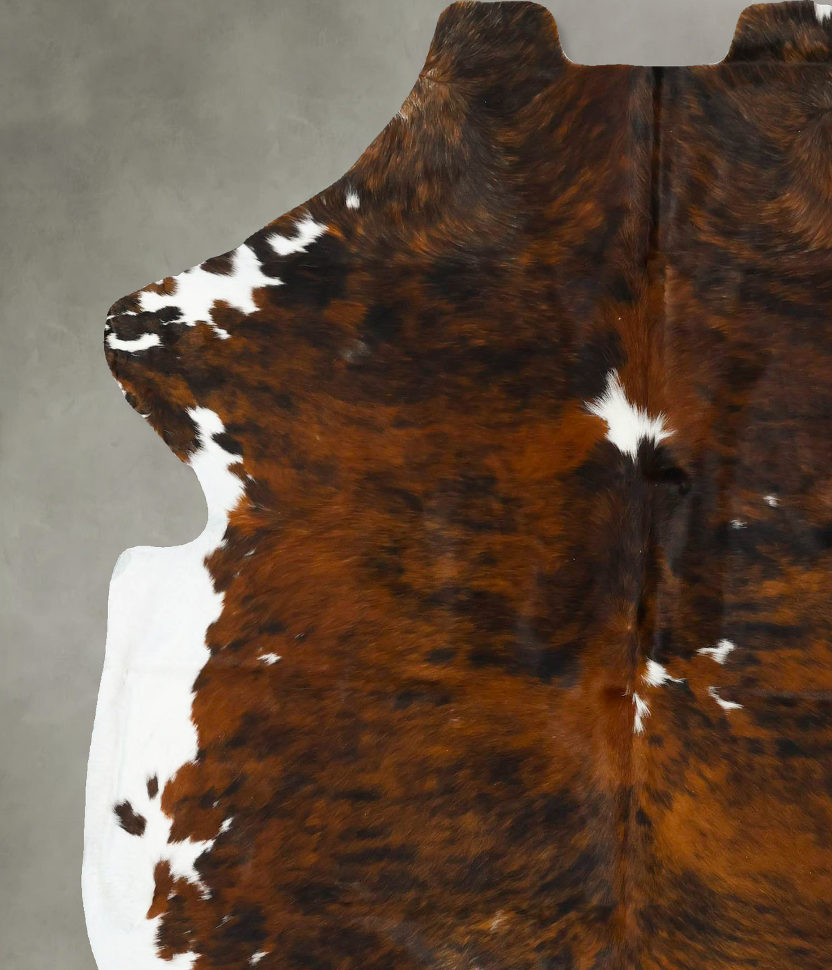 Tricolor X-Large European Cowhide Rug 7'2"H x 6'2"W #B22928 by Hudson Hides