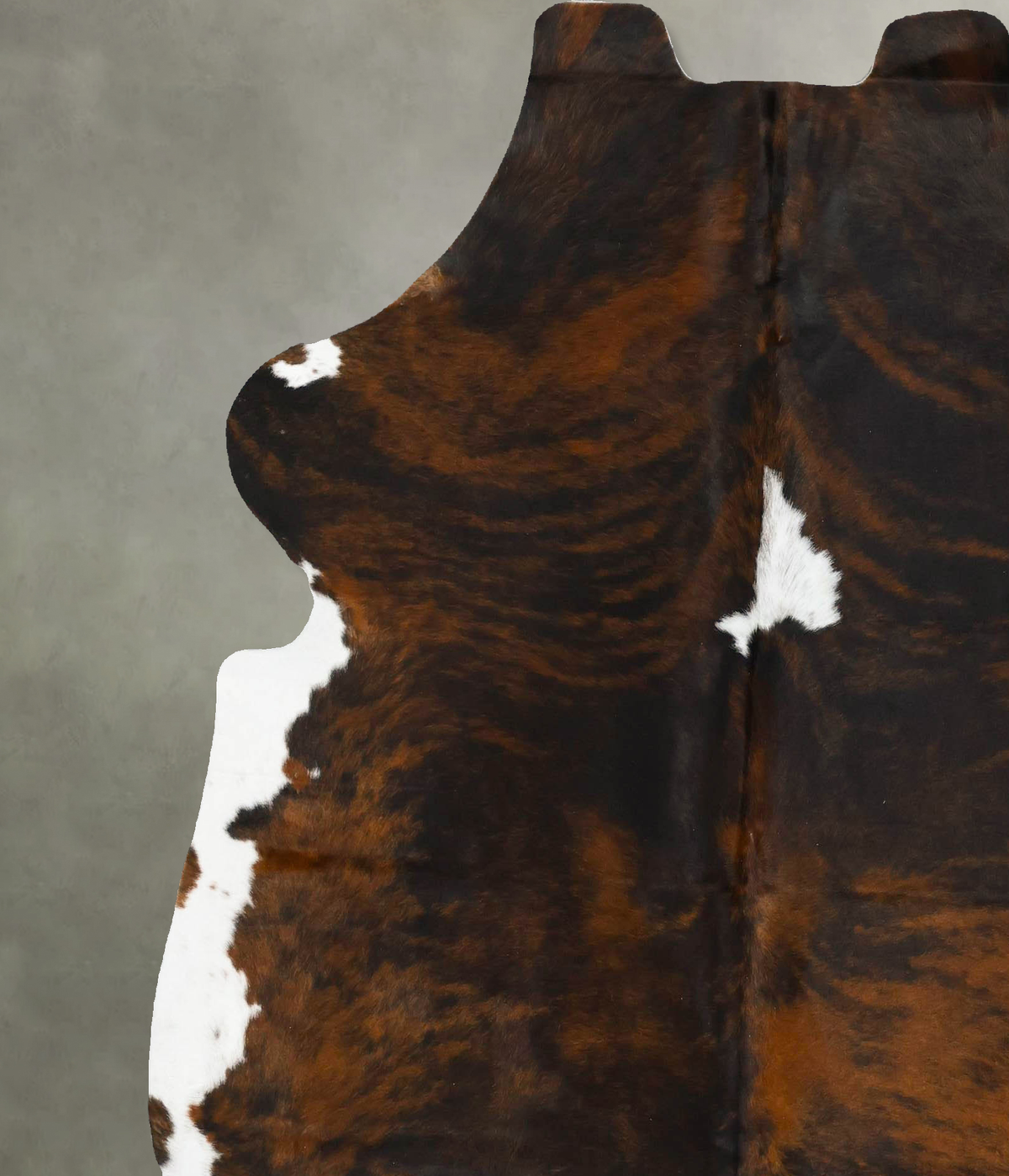 Tricolor X-Large European Cowhide Rug 7'1"H x 6'4"W #B22930 by Hudson Hides