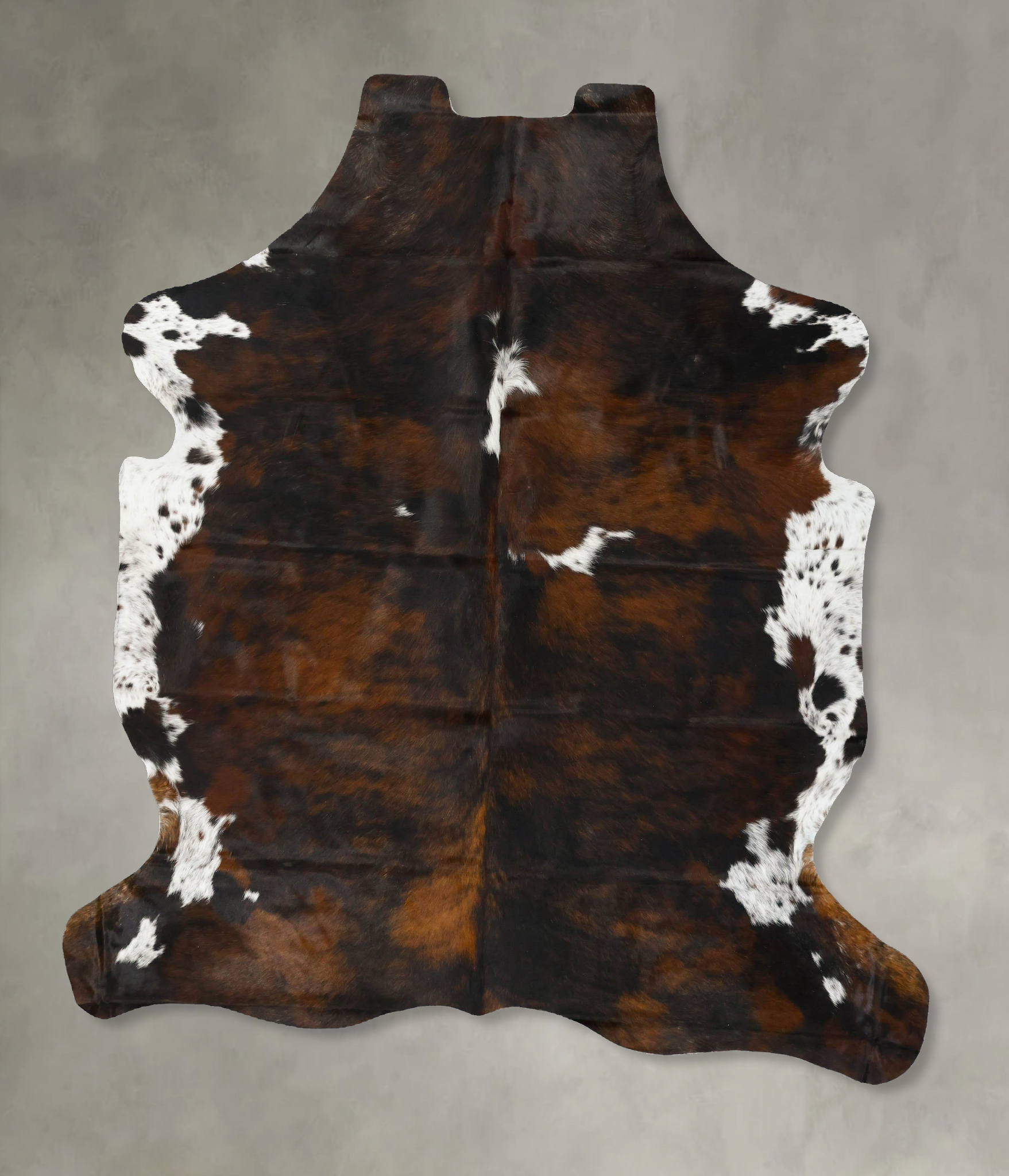 Tricolor Cowhide Rug #B22931