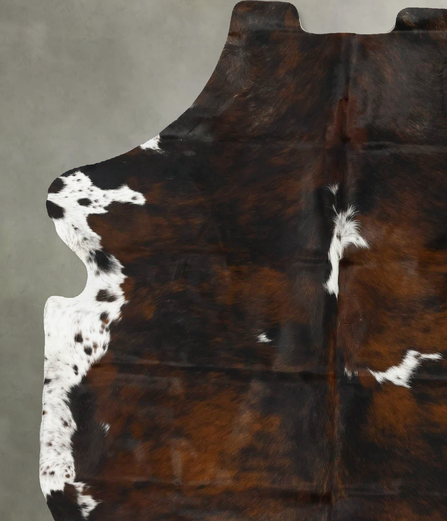 Tricolor Cowhide Rug #B22931