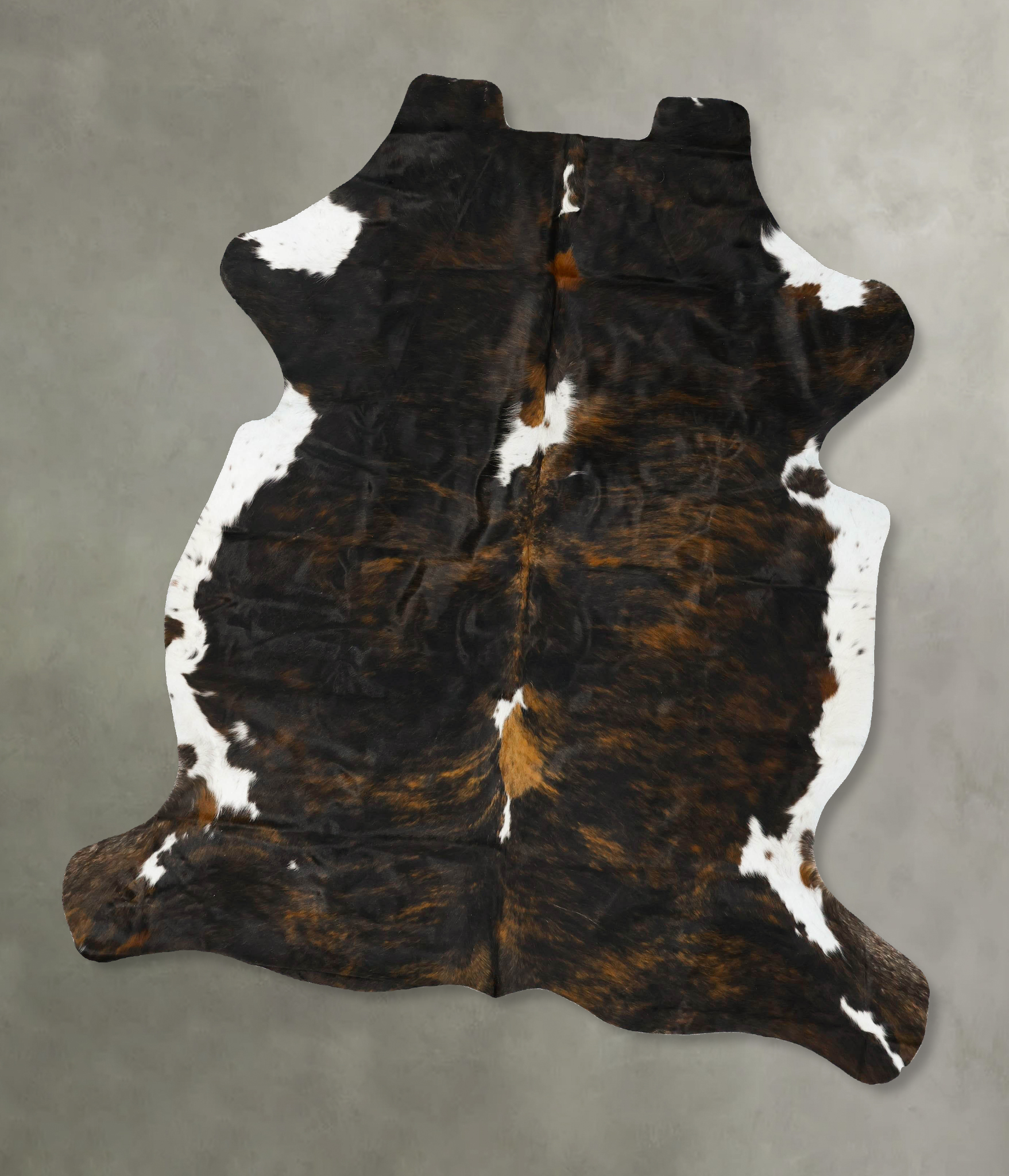 Tricolor Cowhide Rug #B22939