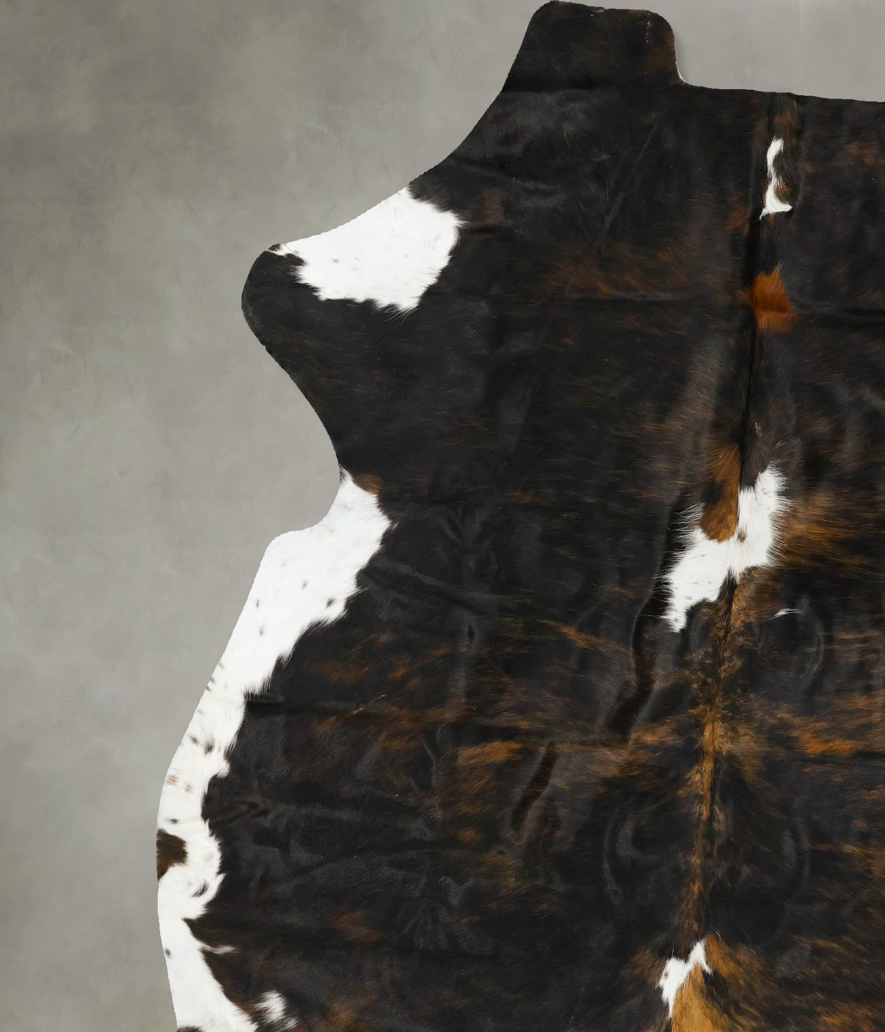 Tricolor Cowhide Rug #B22939