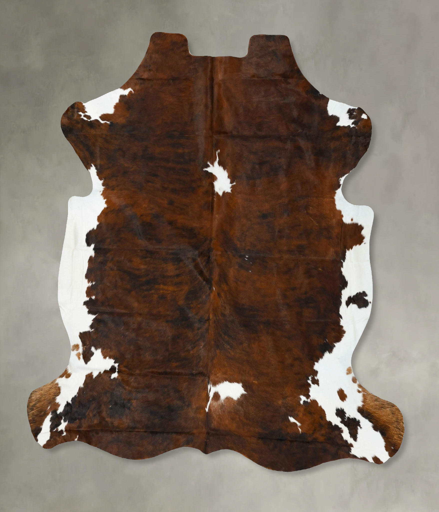 Tricolor Cowhide Rug #B22940