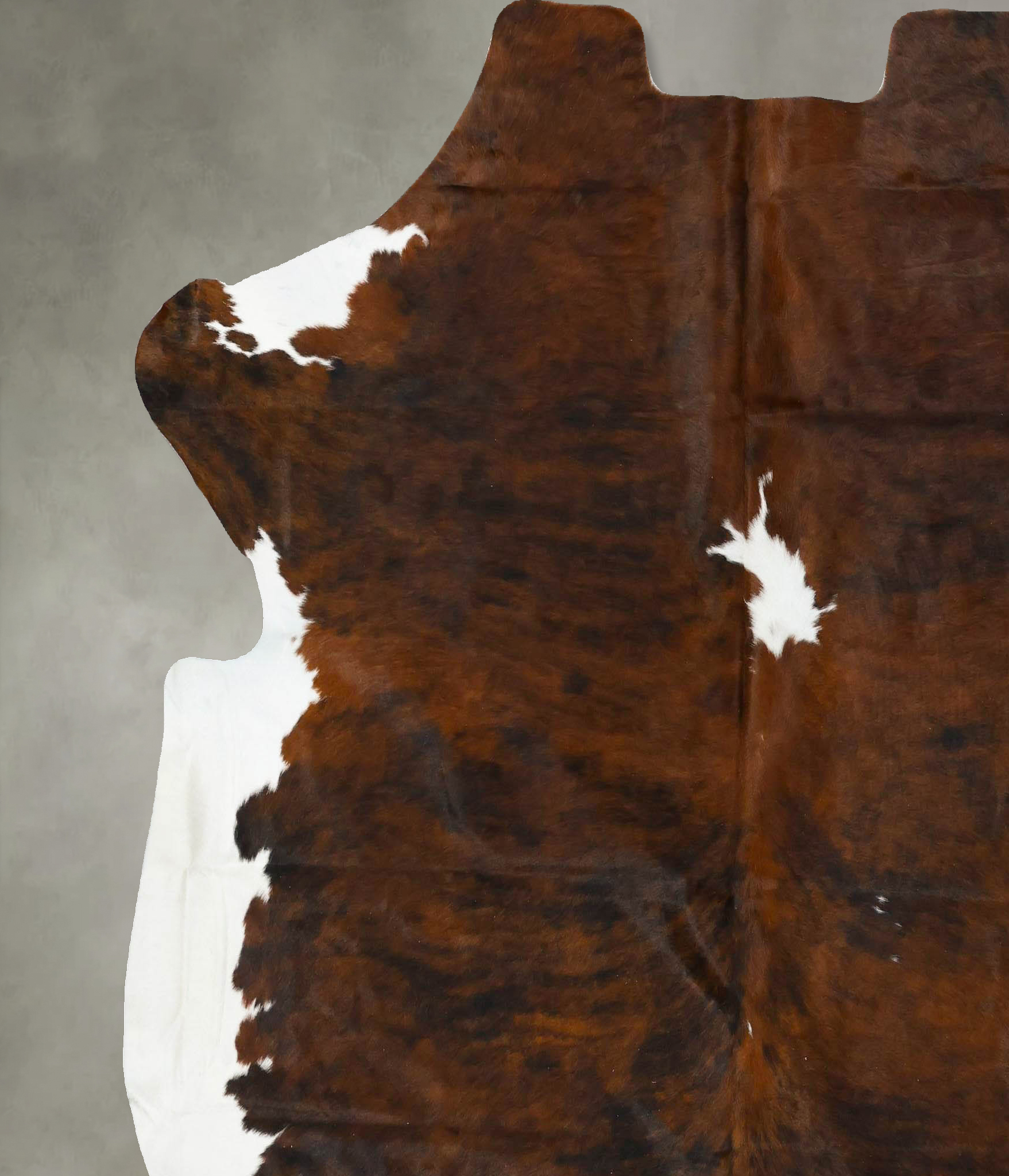 Tricolor Cowhide Rug #B22940
