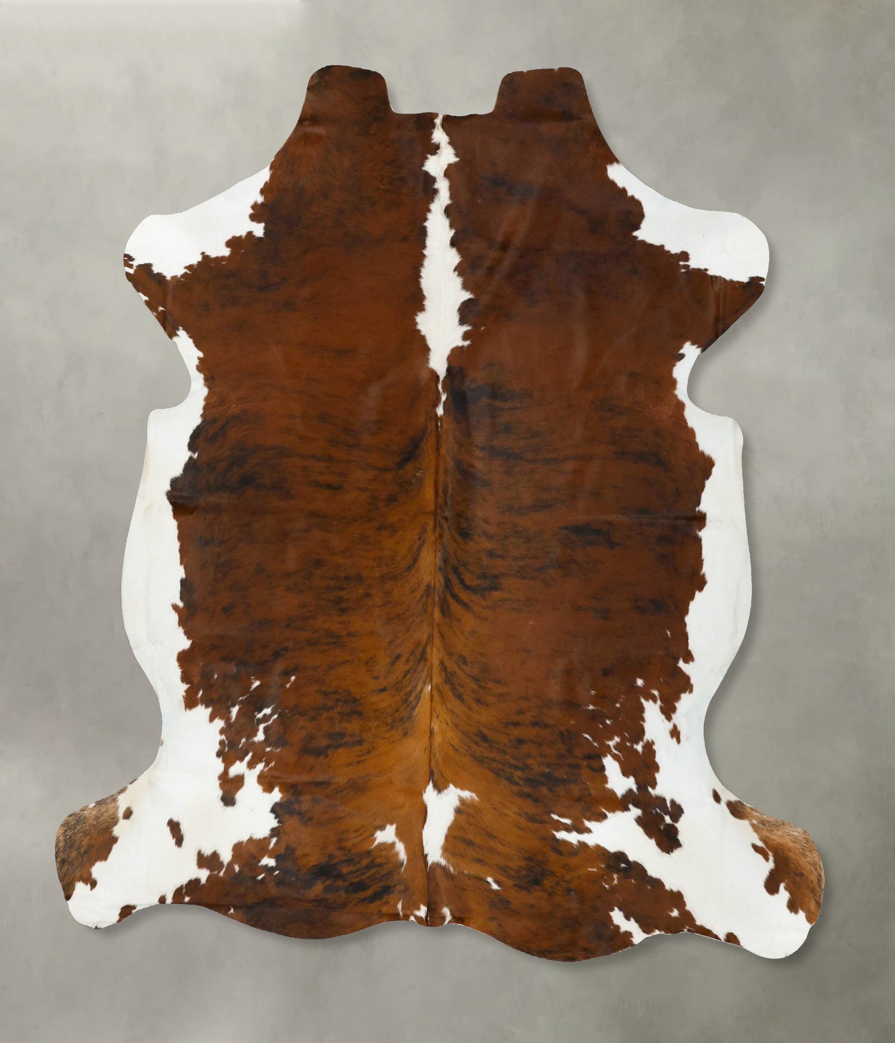 Tricolor Cowhide Rug #B22941