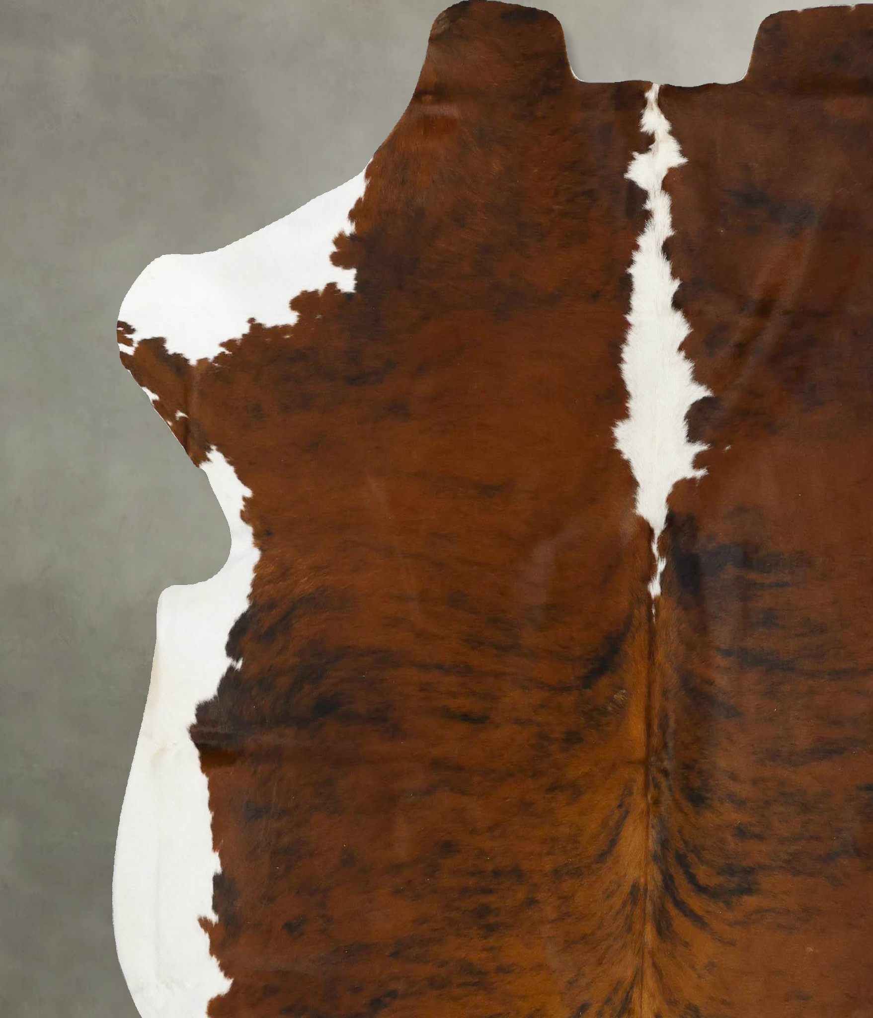 Tricolor Cowhide Rug #B22941