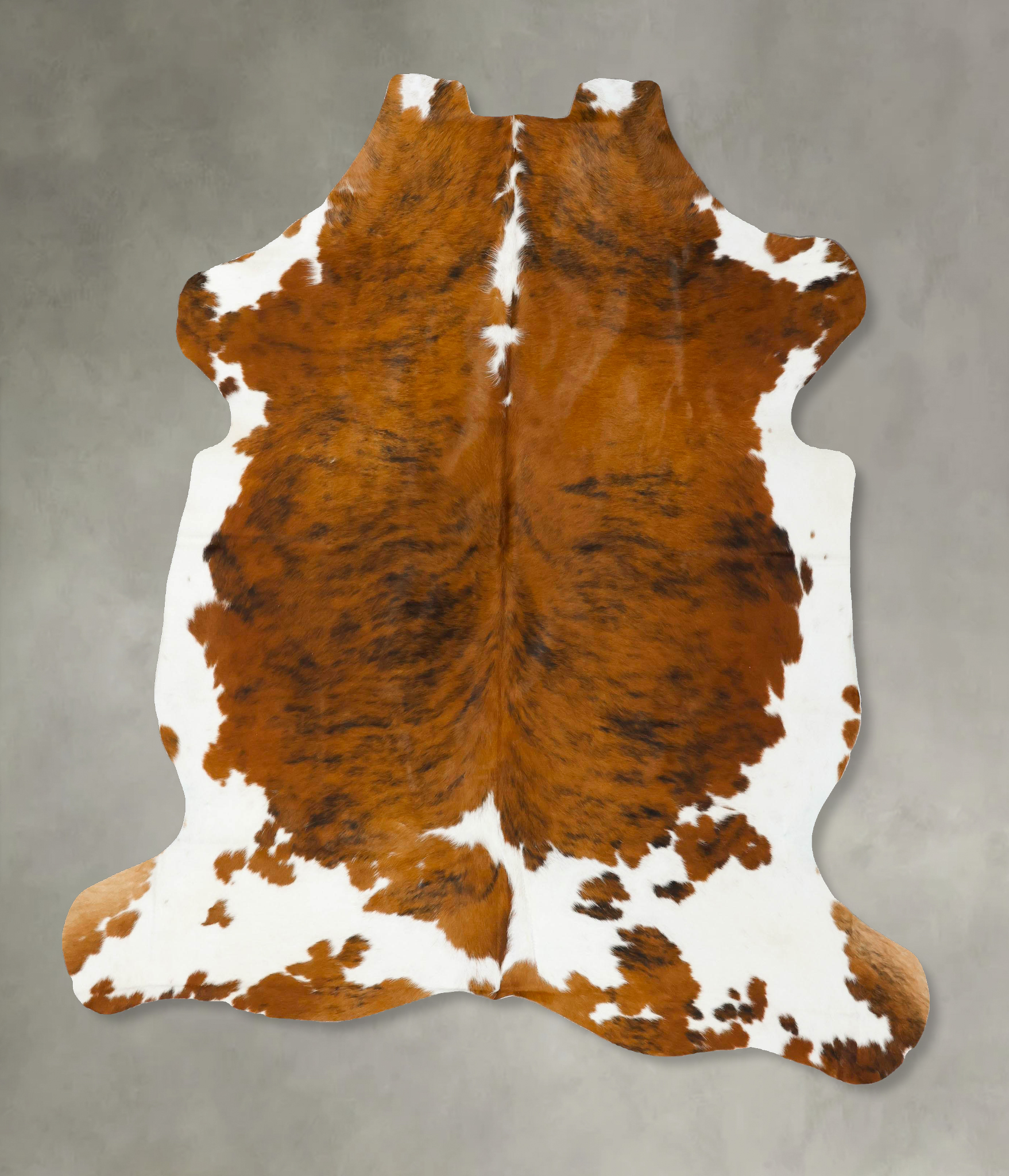 Tricolor Cowhide Rug #B22942